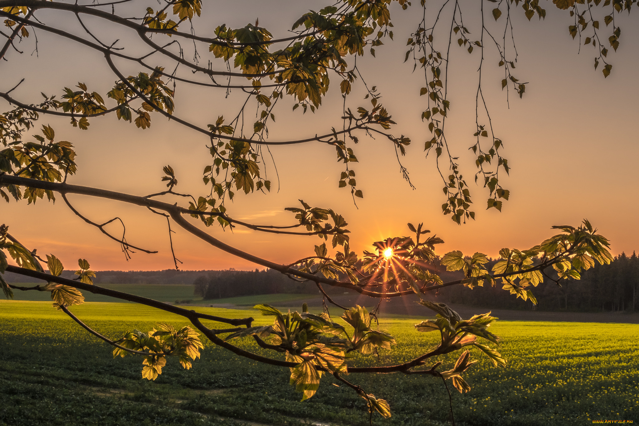 природа, восходы, закаты, рассвет