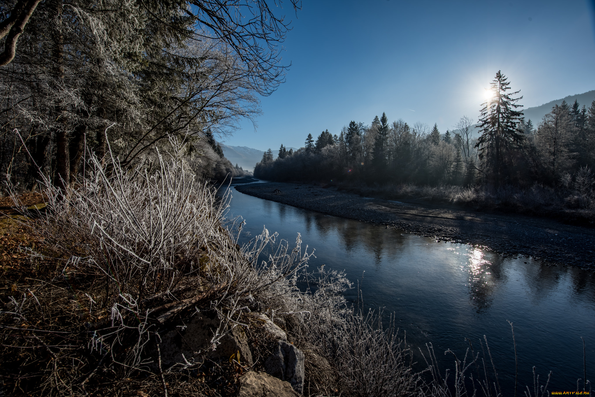 природа, реки, озера, река, лес