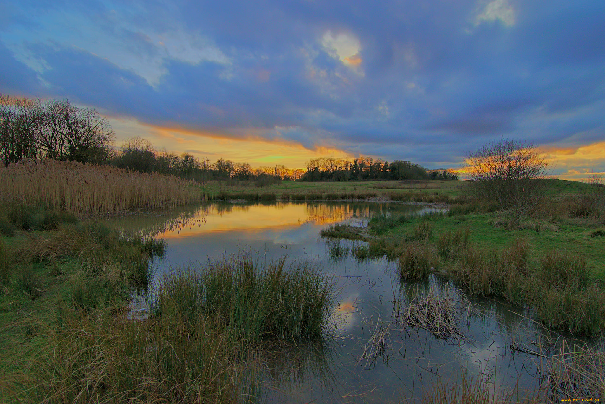 природа, реки, озера, река, лес