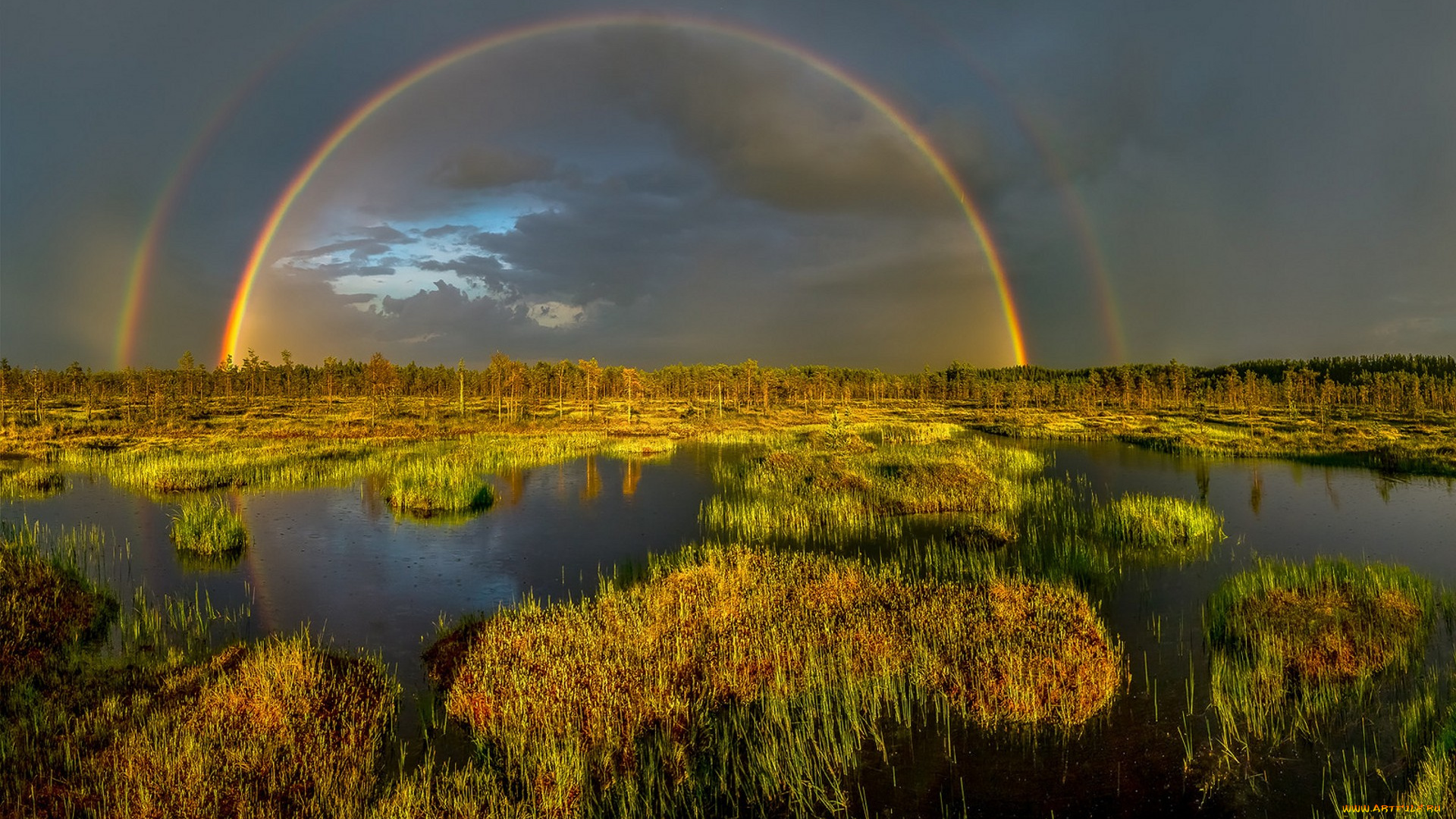 природа, радуга, простор