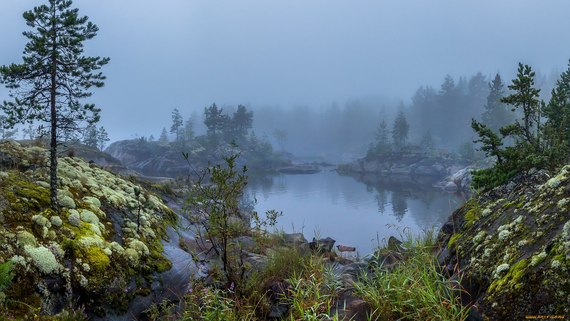 природа, реки, озера, простор