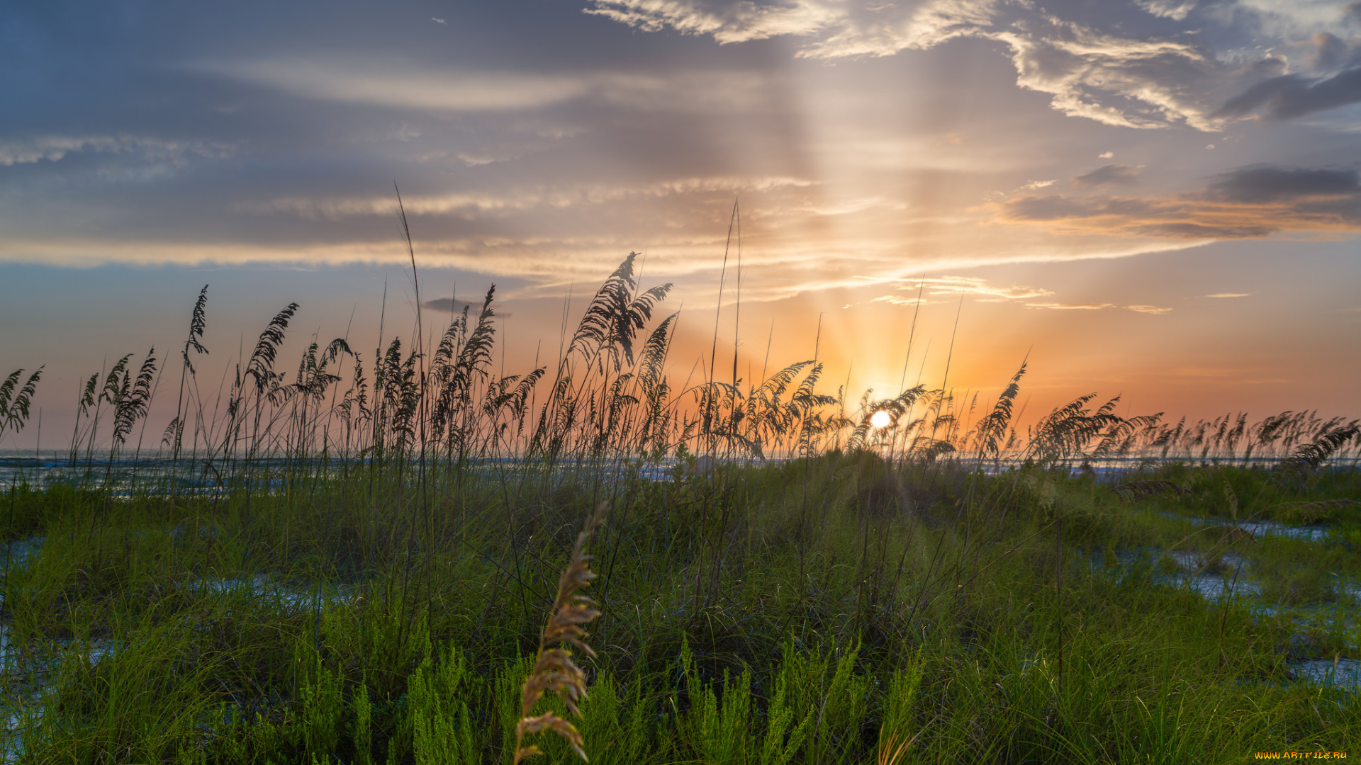 природа, восходы, закаты, простор