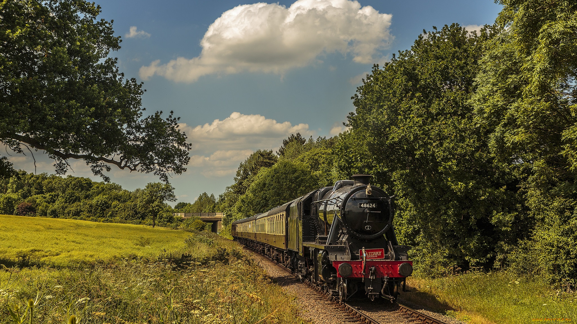 техника, паровозы, локомотив, состав