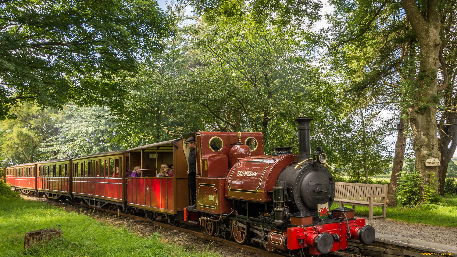 техника, паровозы, локомотив, состав