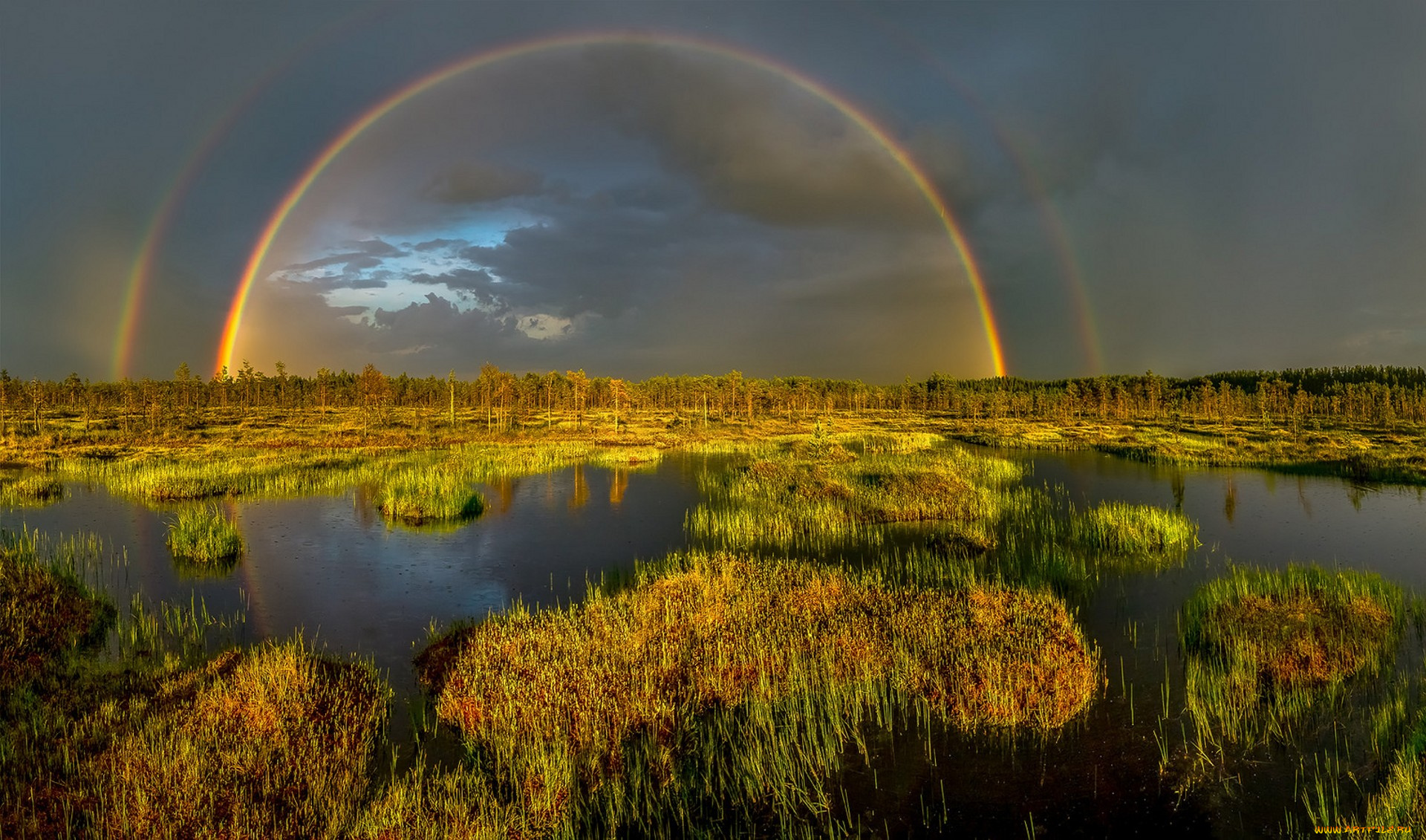 природа, радуга, простор