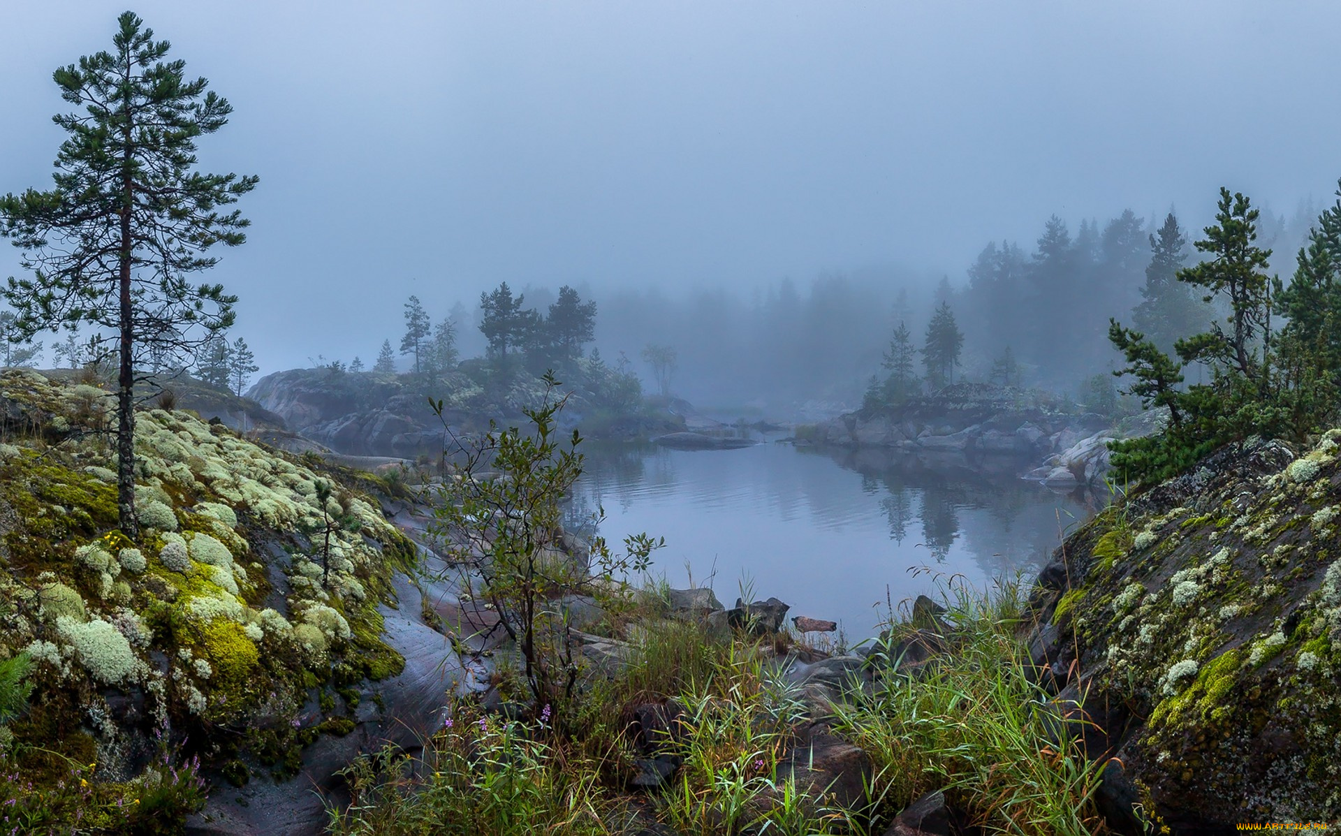 природа, реки, озера, простор