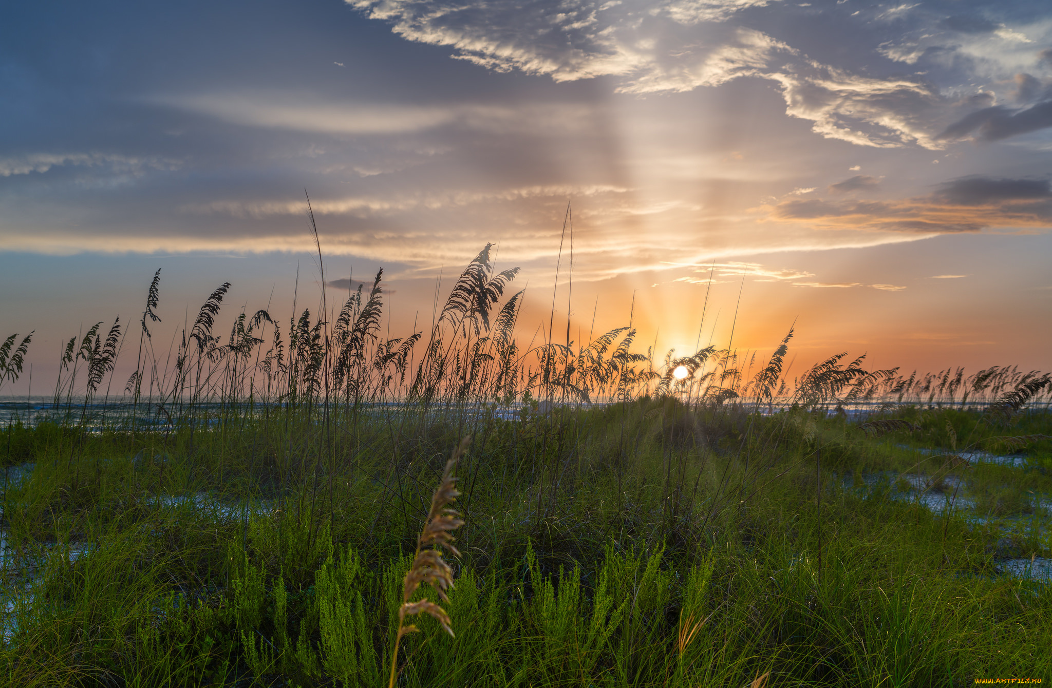 природа, восходы, закаты, простор