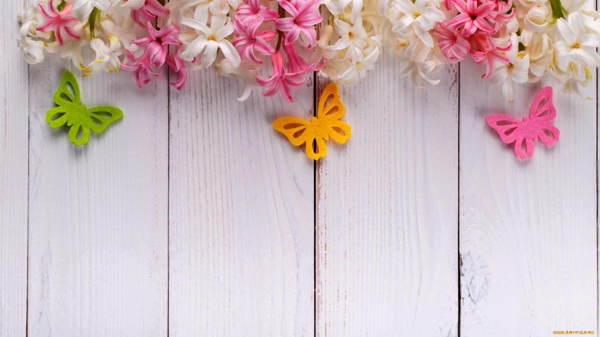 цветы, гиацинты, бабочки, весна