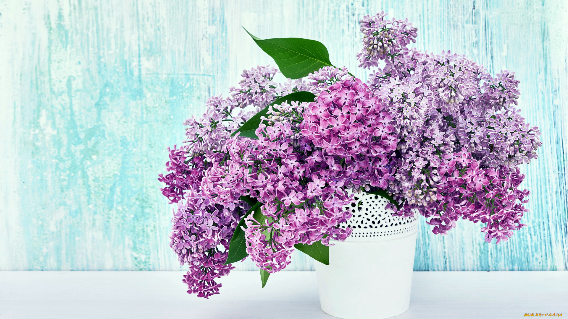 цветы, сирень, букет