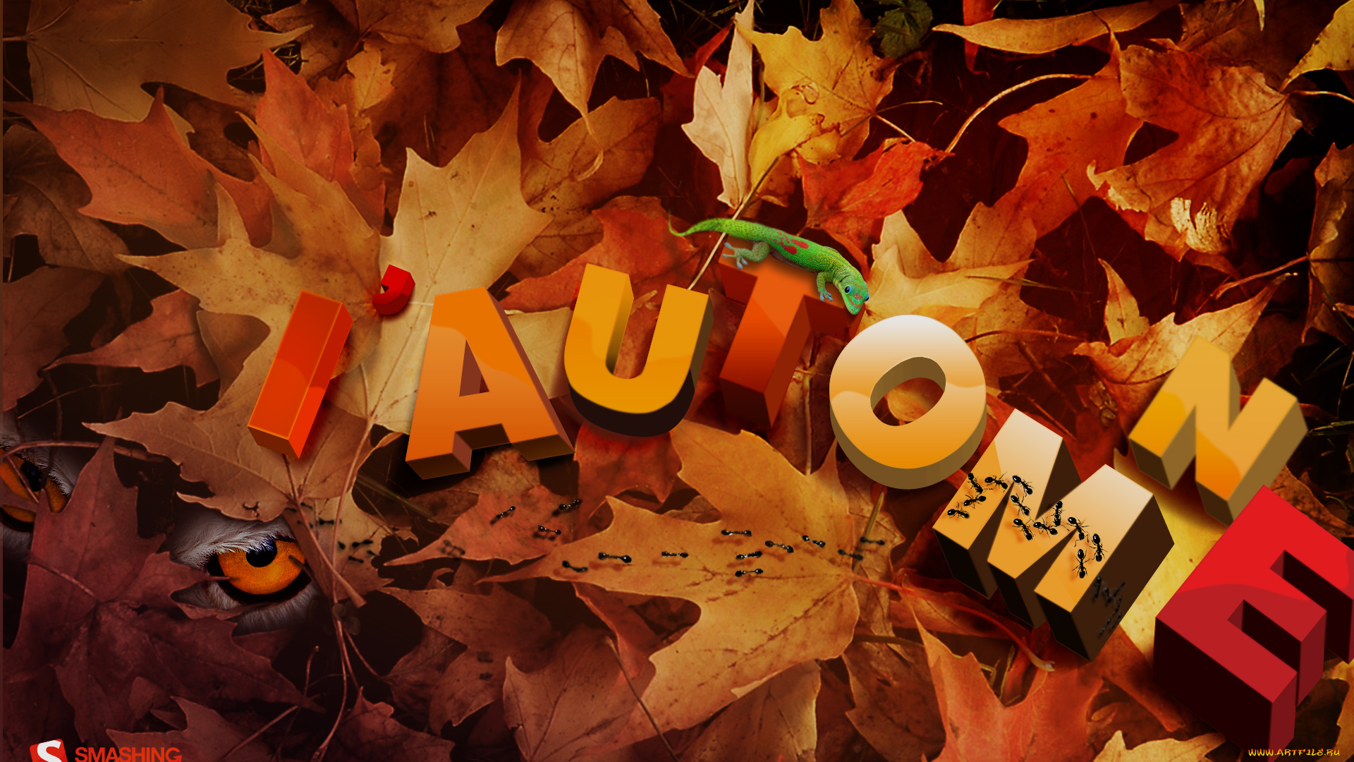 разное, компьютерный, дизайн, ящерица, осень, глаз, муравьи, буквы, листья