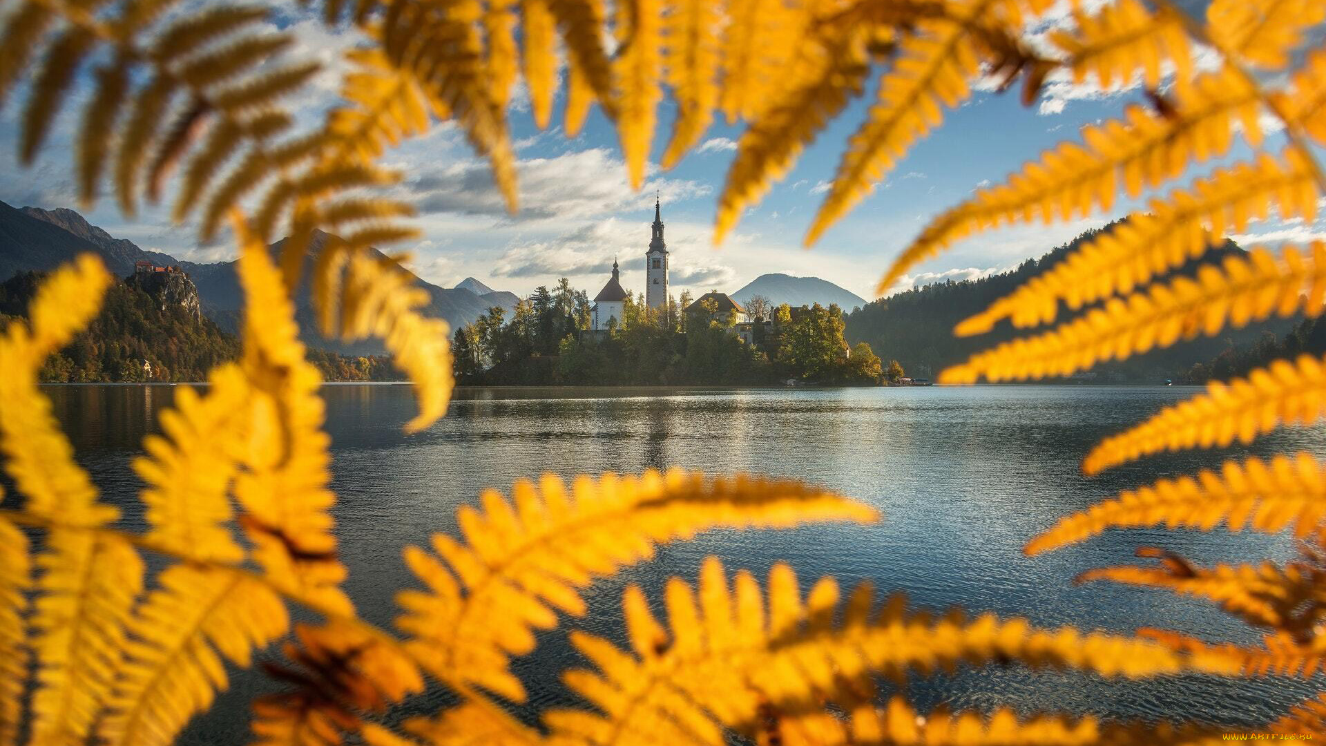 города, блед, , словения, озеро, остров, папоротник, осень