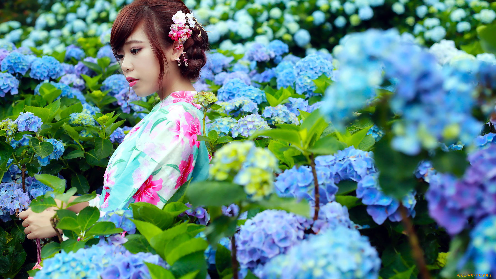 девушки, -, азиатки, шатенка, цветы, гортензии