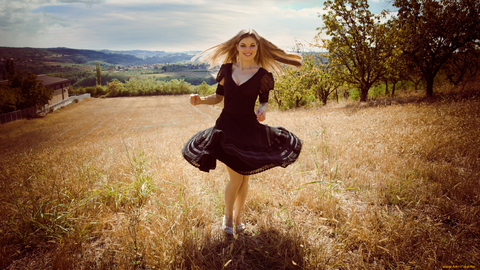 девушки, -, блондинки, , светловолосые, луг, блондинка