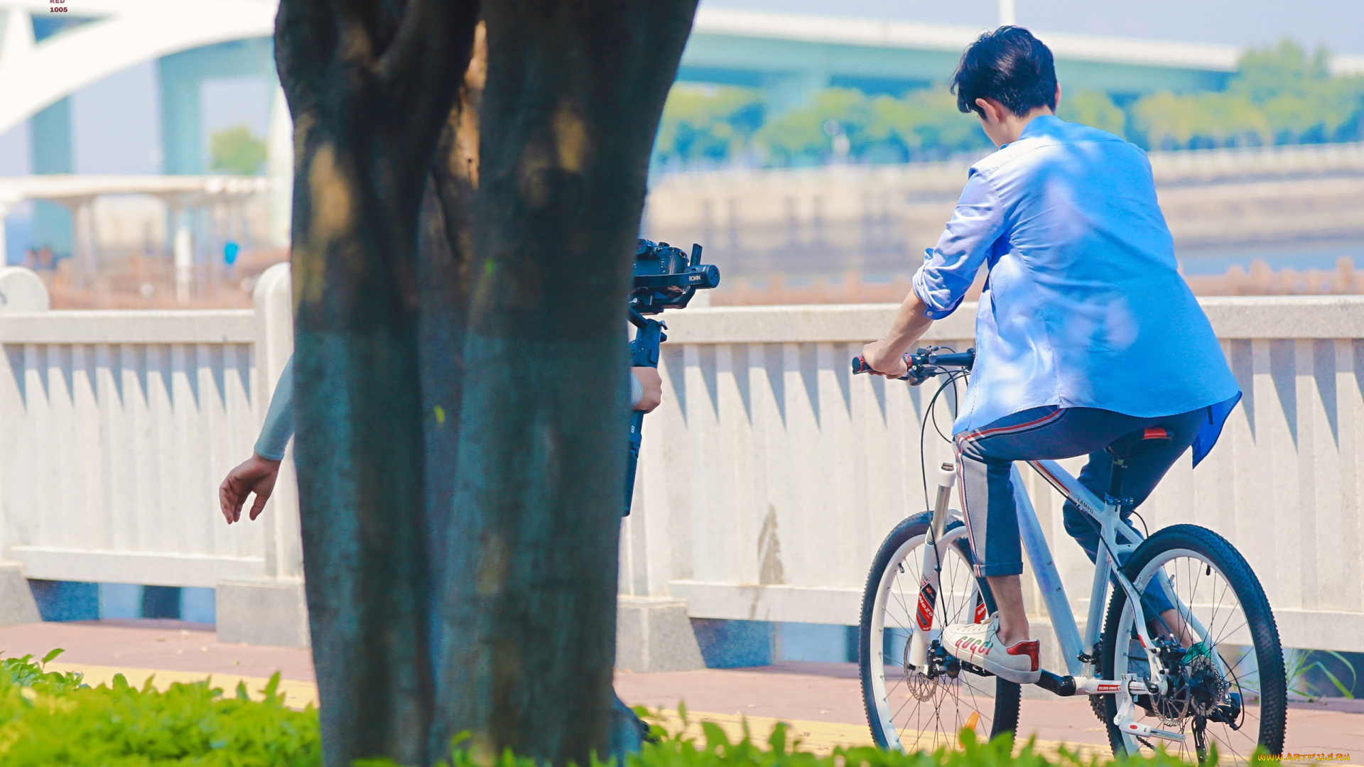 мужчины, xiao, zhan, актер, велосипед, камера, дерево