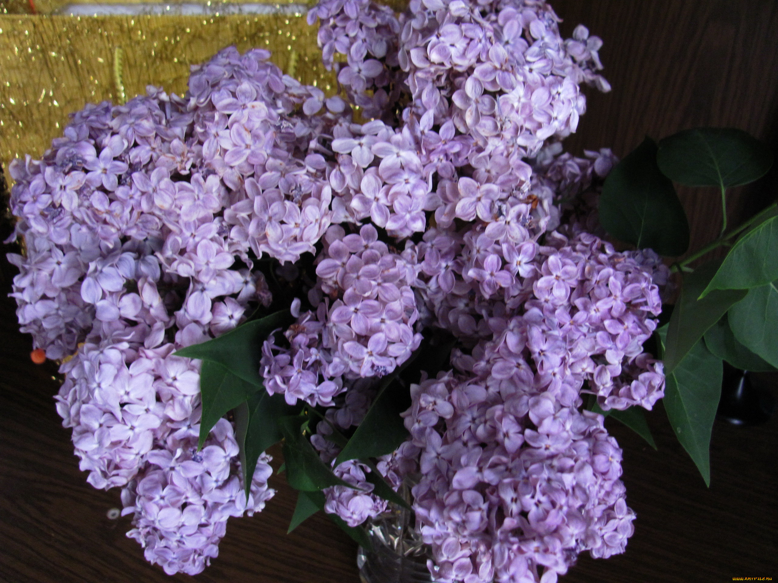 цветы, сирень, букет