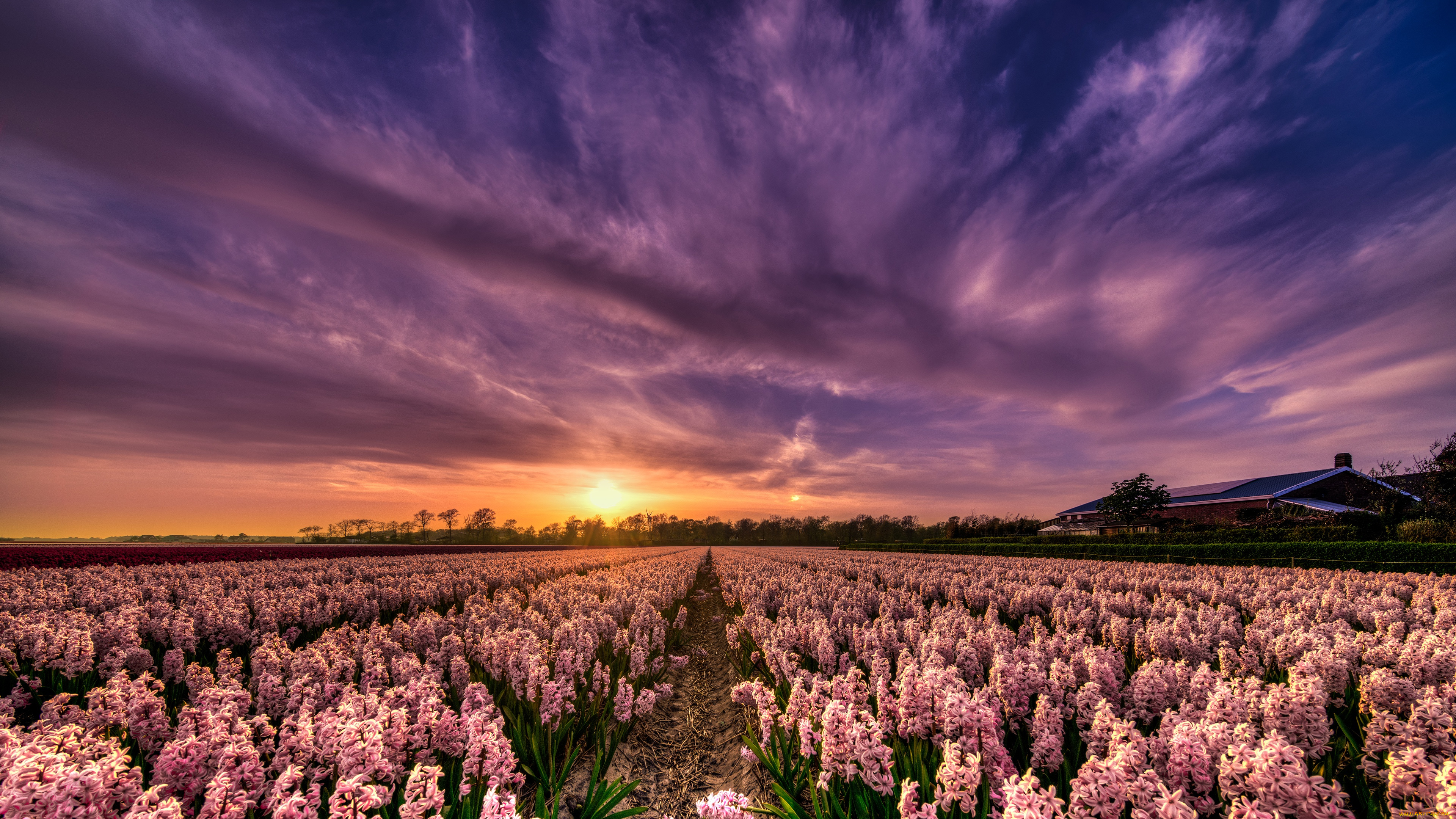 природа, восходы, закаты, закат, рассвет