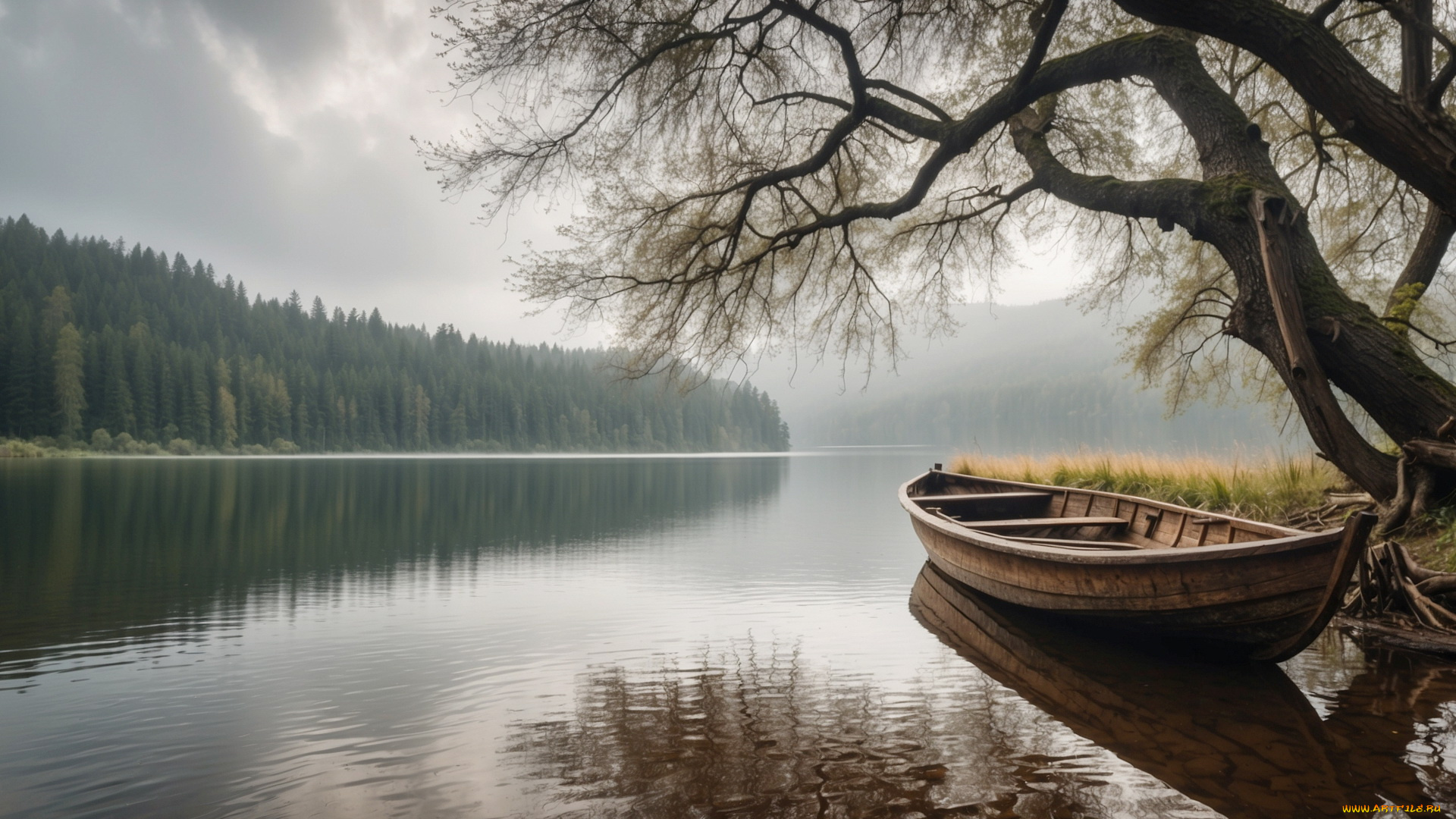 3д, графика, природа, , nature, озеро, лодка, дерево, лес