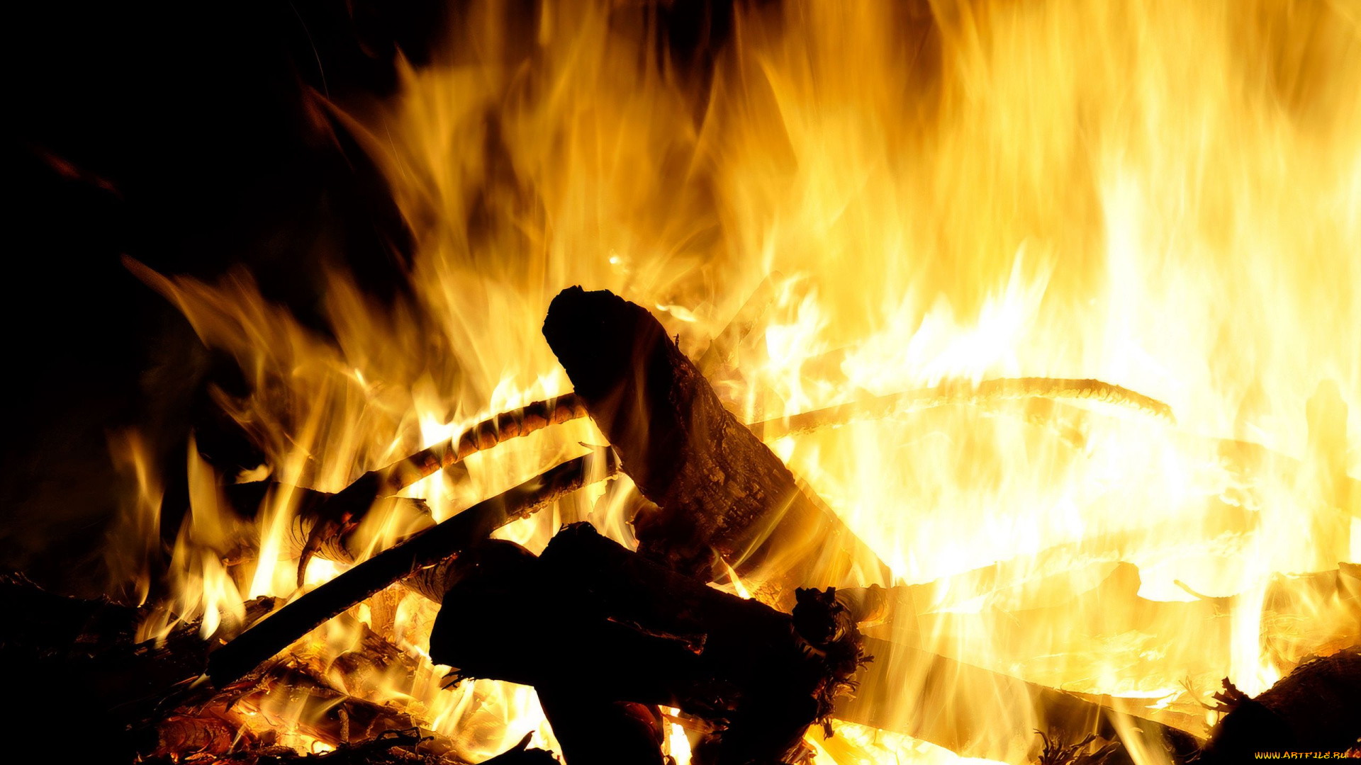 природа, огонь, дрова, пламя, костер