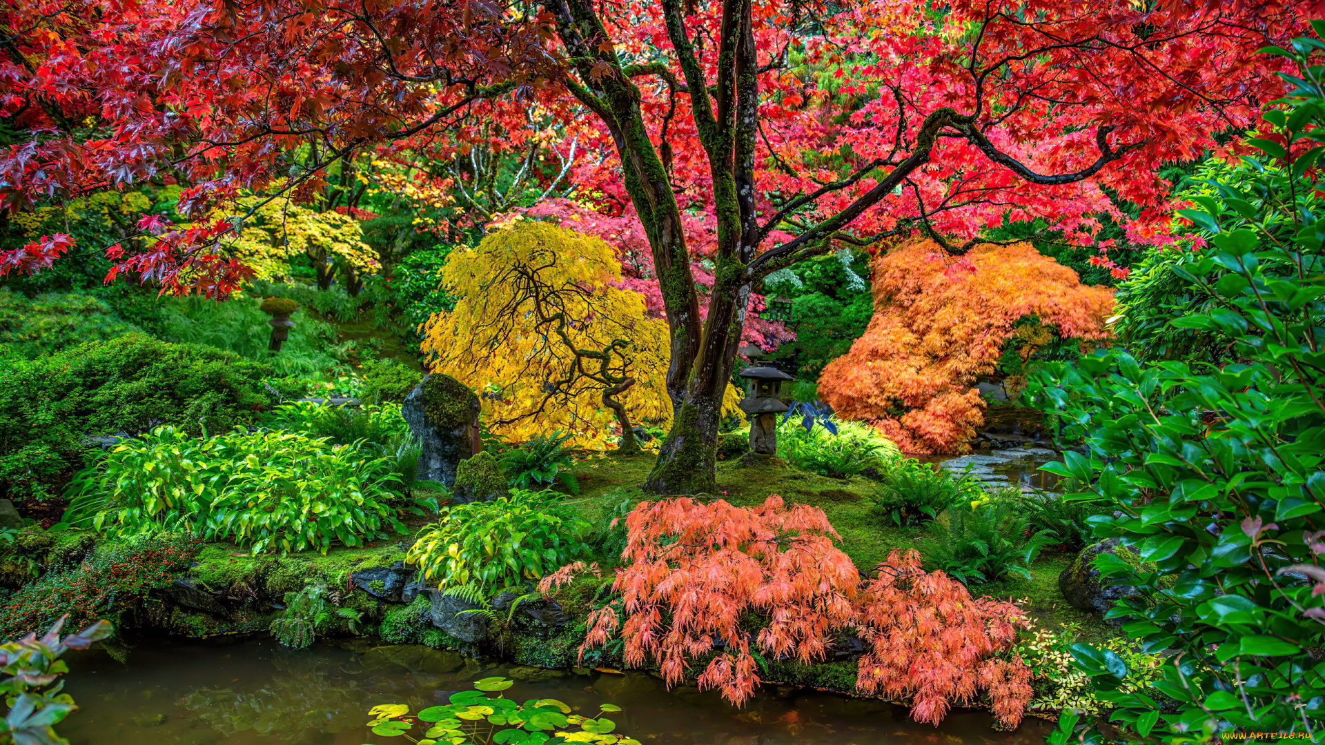 природа, парк, водоем, деревья