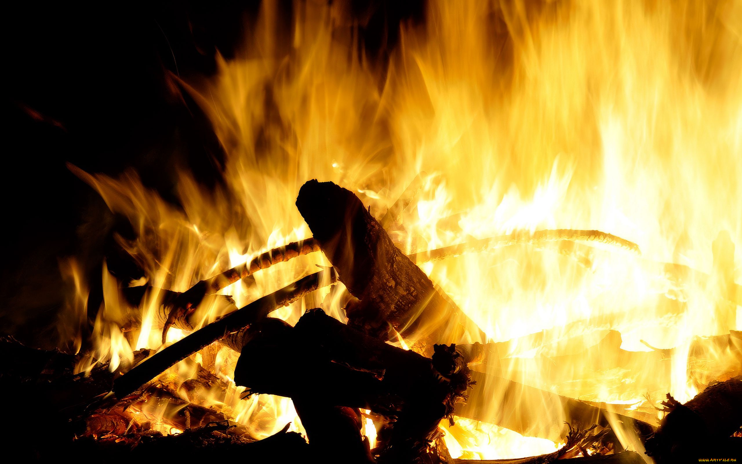 природа, огонь, дрова, пламя, костер