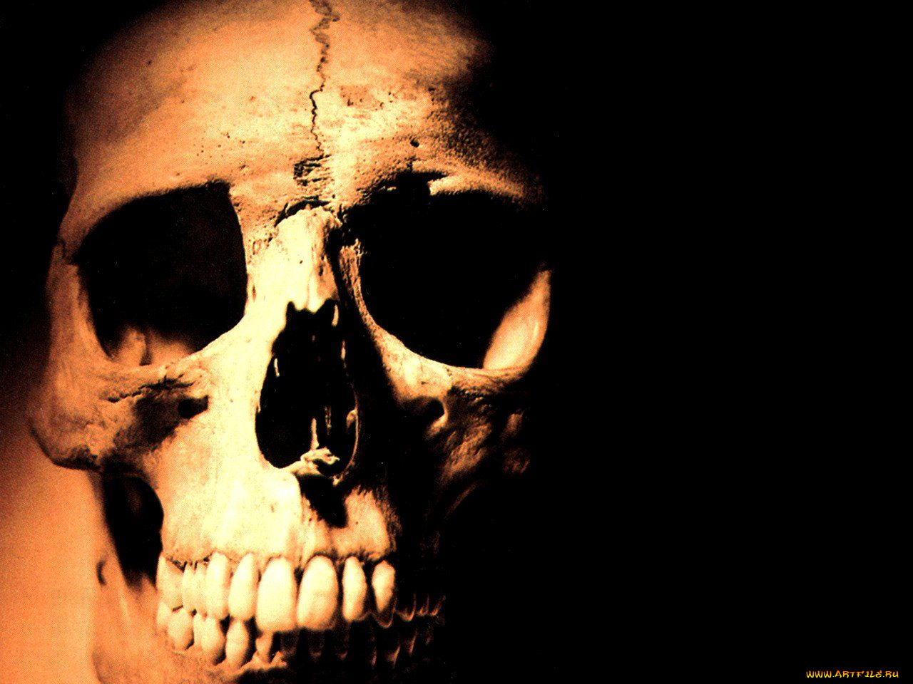 разное, кости, рентген