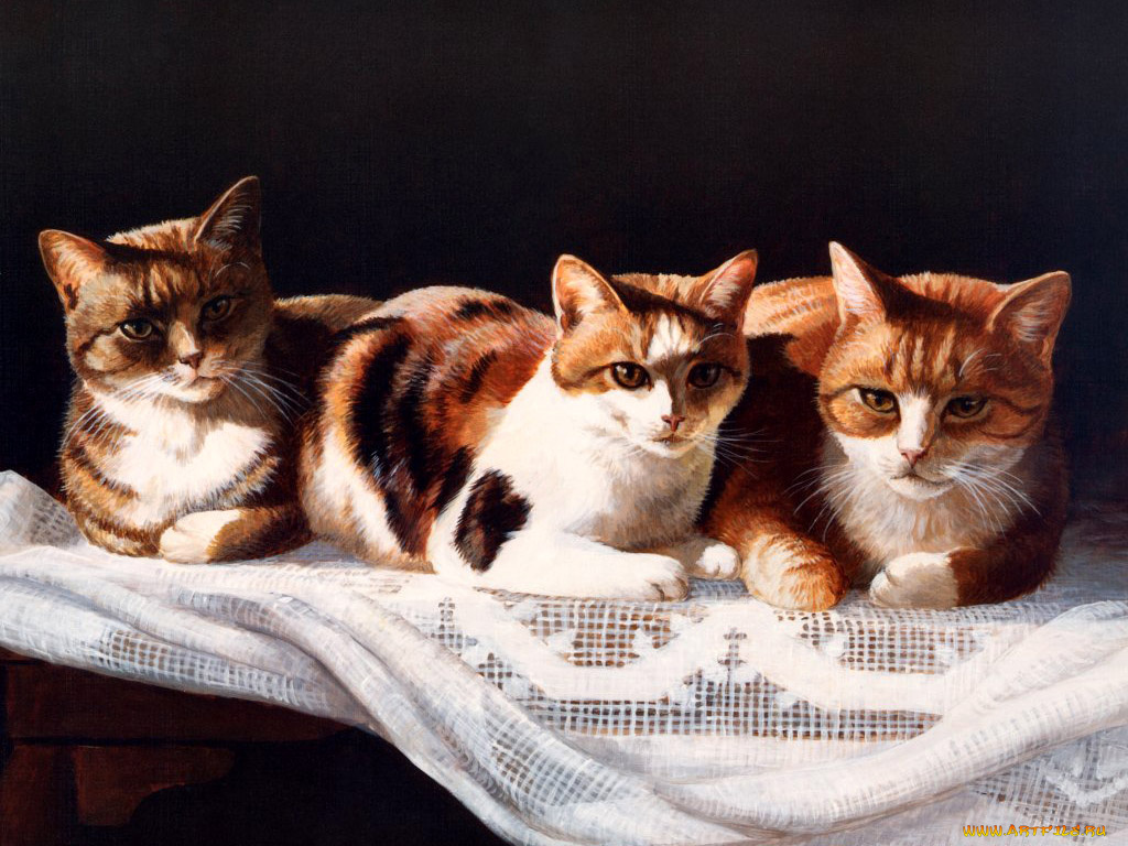 рисованные, животные, коты