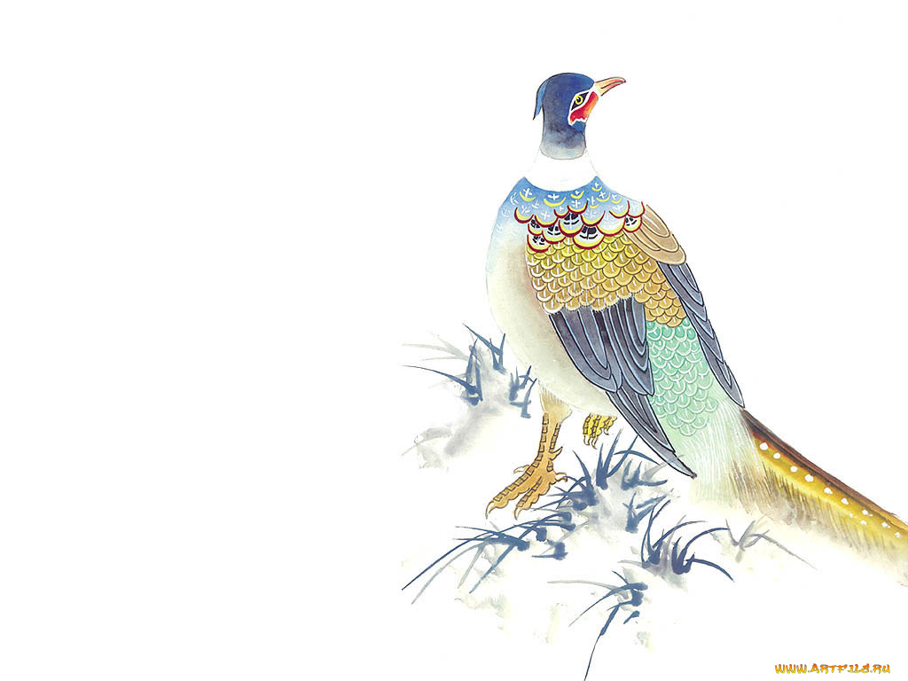 рисованные, животные, птицы