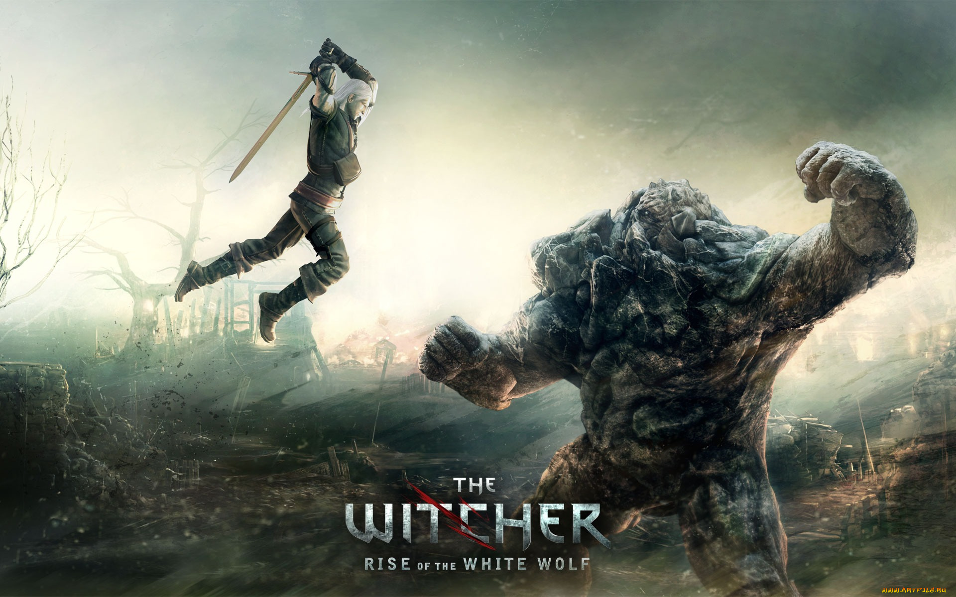 the, witcher, rise, of, white, wolf, видео, игры