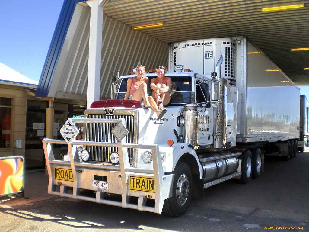 автомобили, авто, девушками