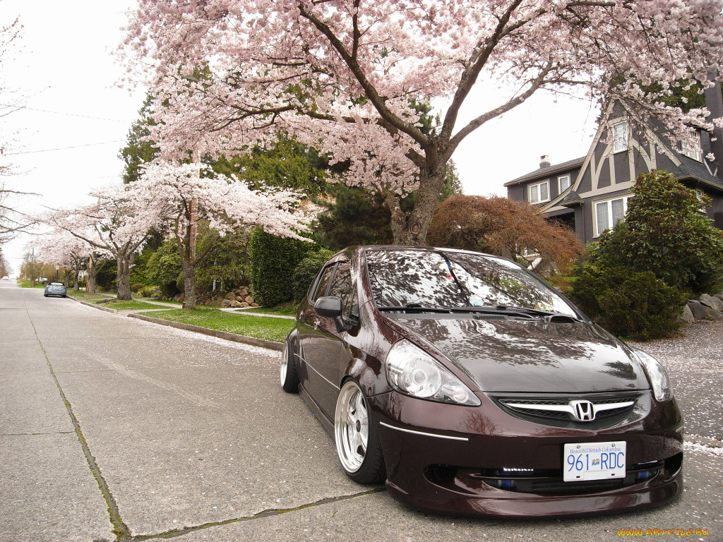 автомобили, honda