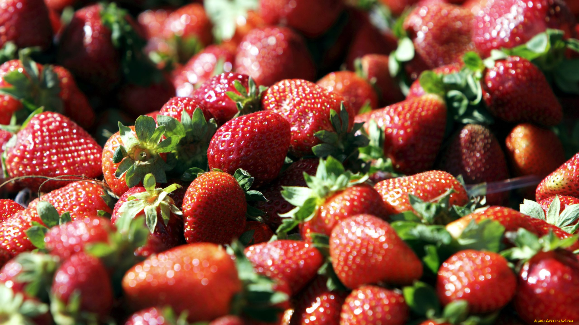 еда, клубника, земляника