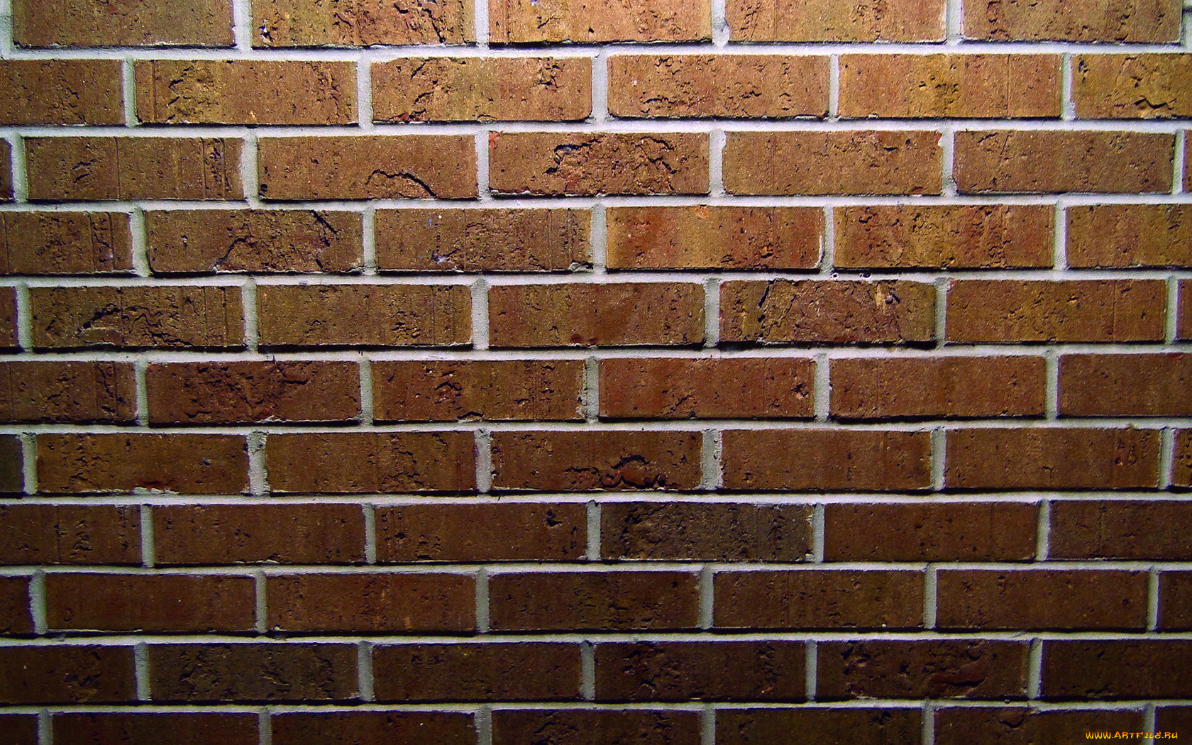 разное, текстуры, кирпичи, стена