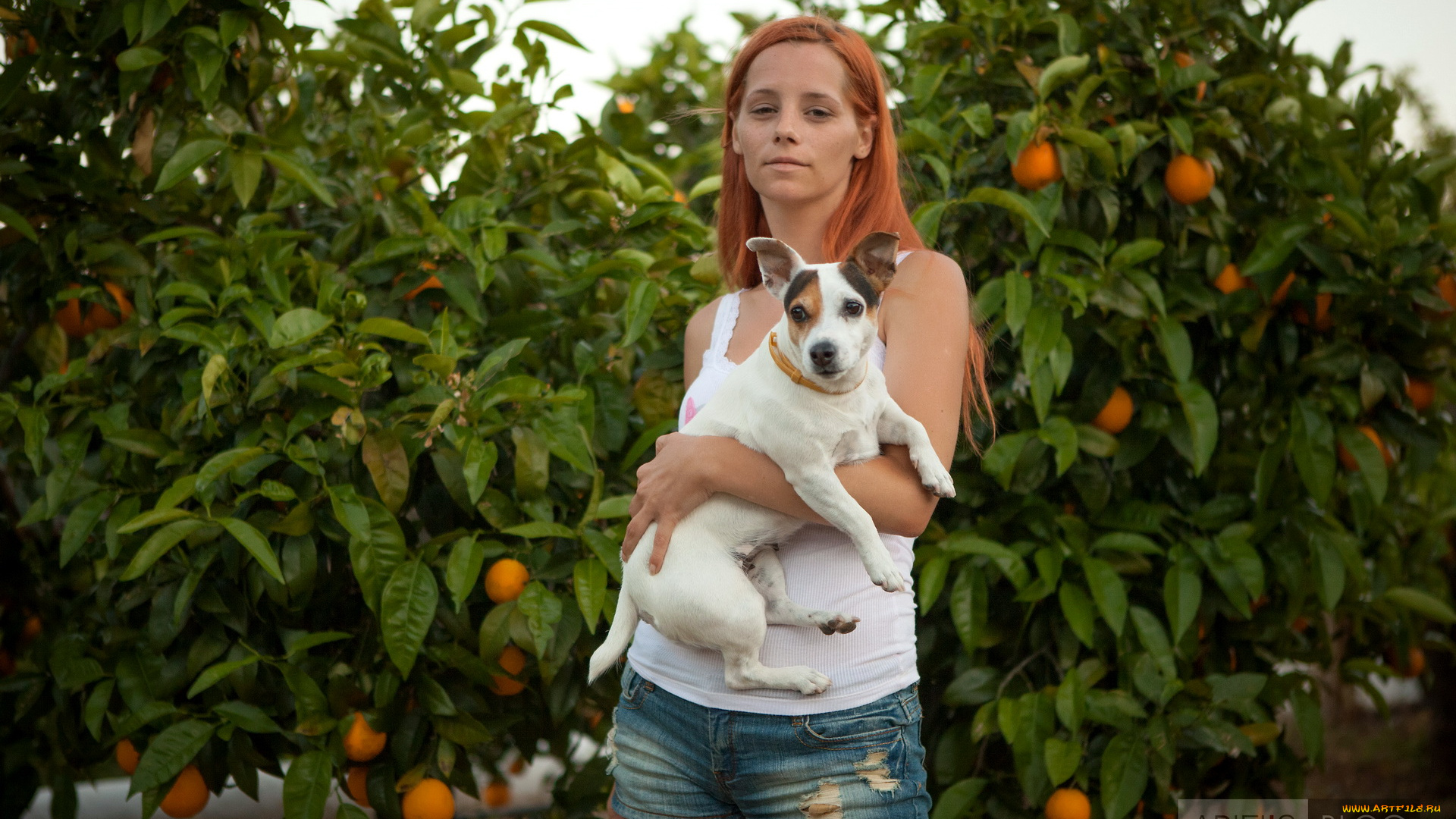 Ariel, Piperfawn, девушки, , , piper, fawn