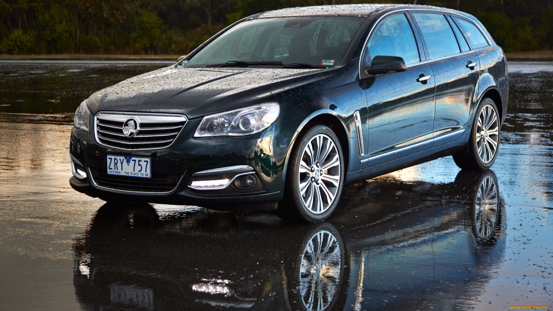2013, holden, vf, calais, sportwagon, автомобили