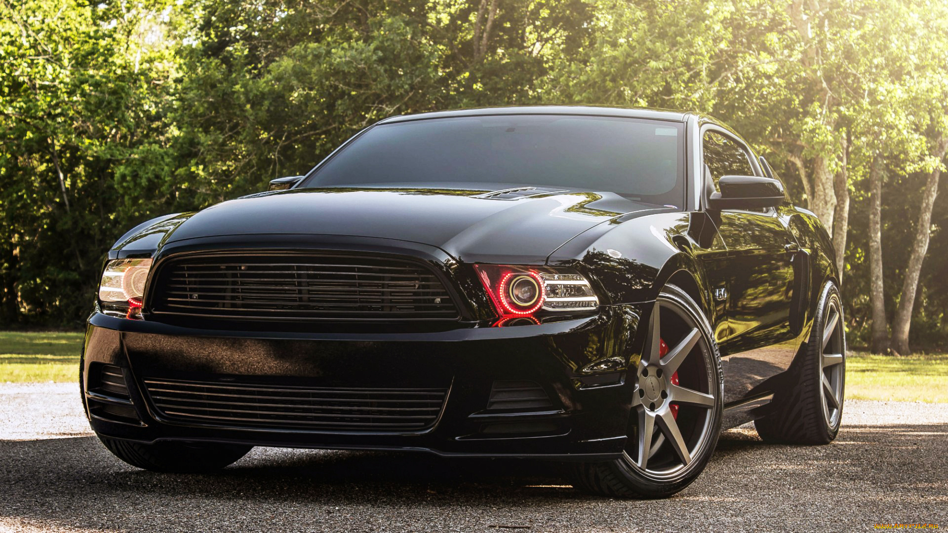 автомобили, mustang, ford, gt