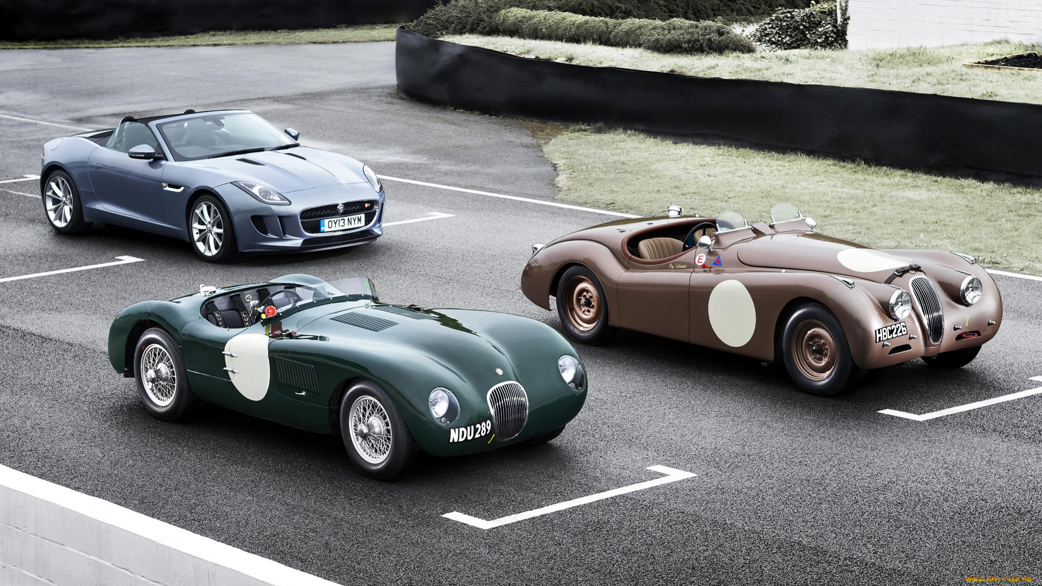 jaguar, автомобили, land, rover, ltd, великобритания