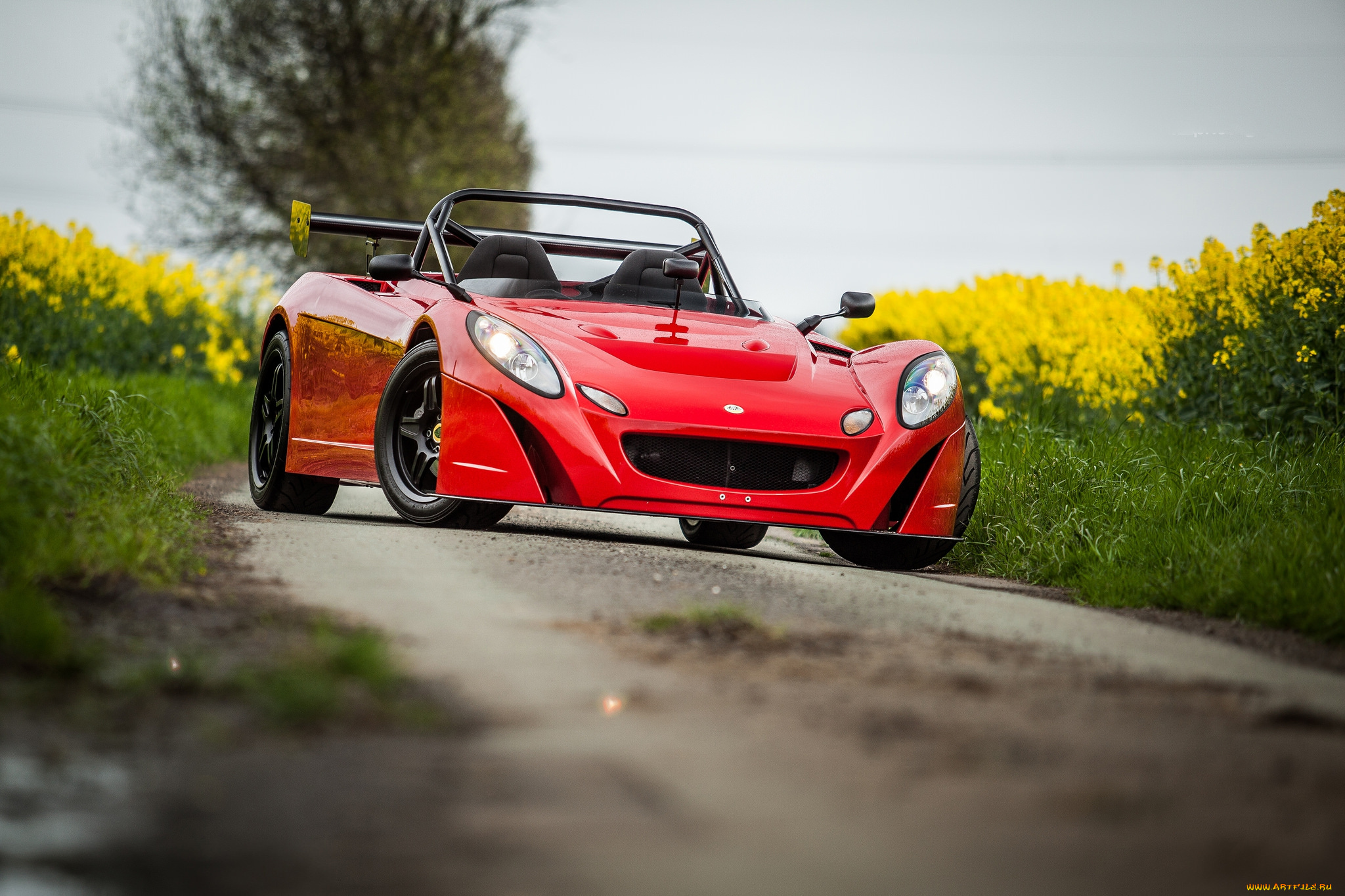 lotus, 2eleven, автомобили, lotus, поле, дорога, спортивный