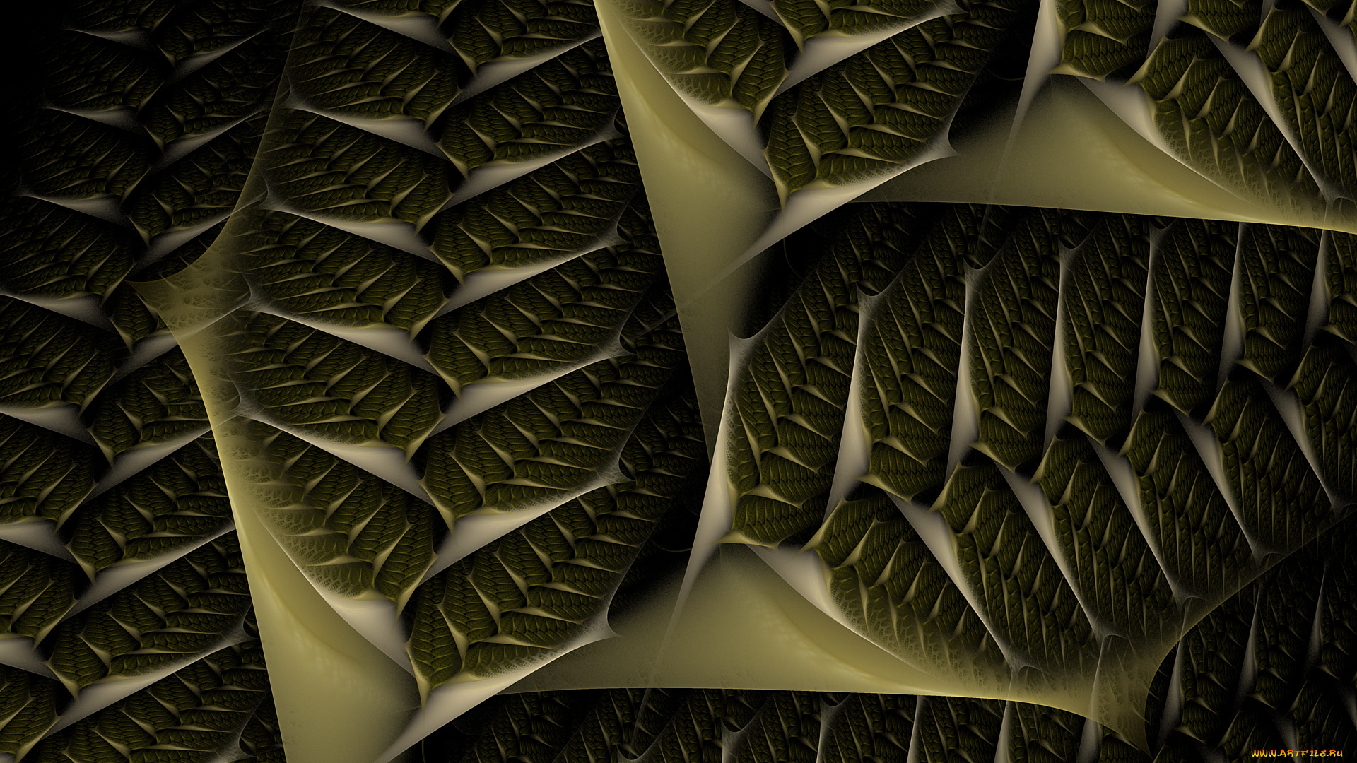 3д, графика, фракталы, , fractal, узор, фон, цвета