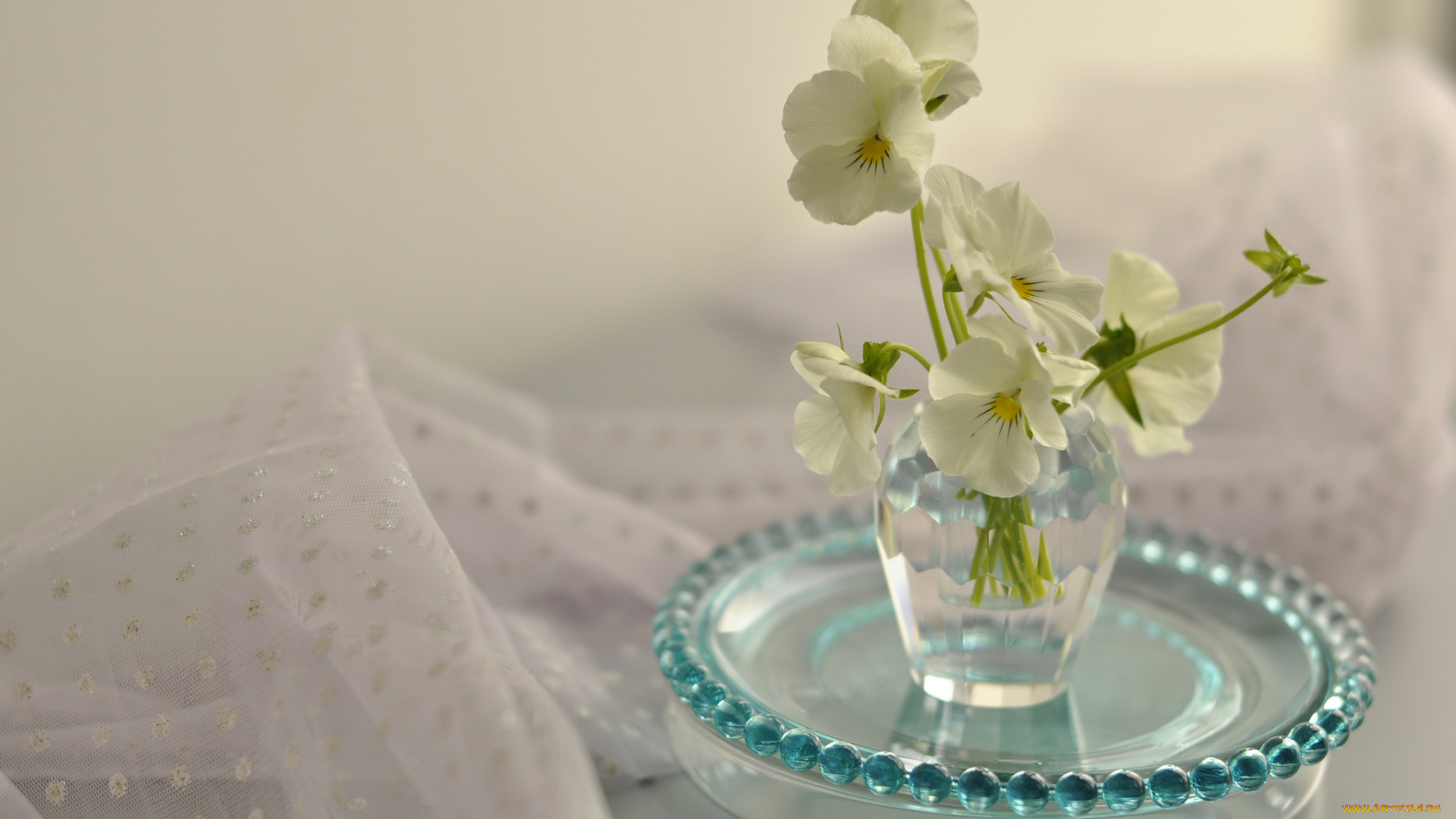 цветы, анютины, глазки, , садовые, фиалки, вазочка, анютины, глазки, натюрморт