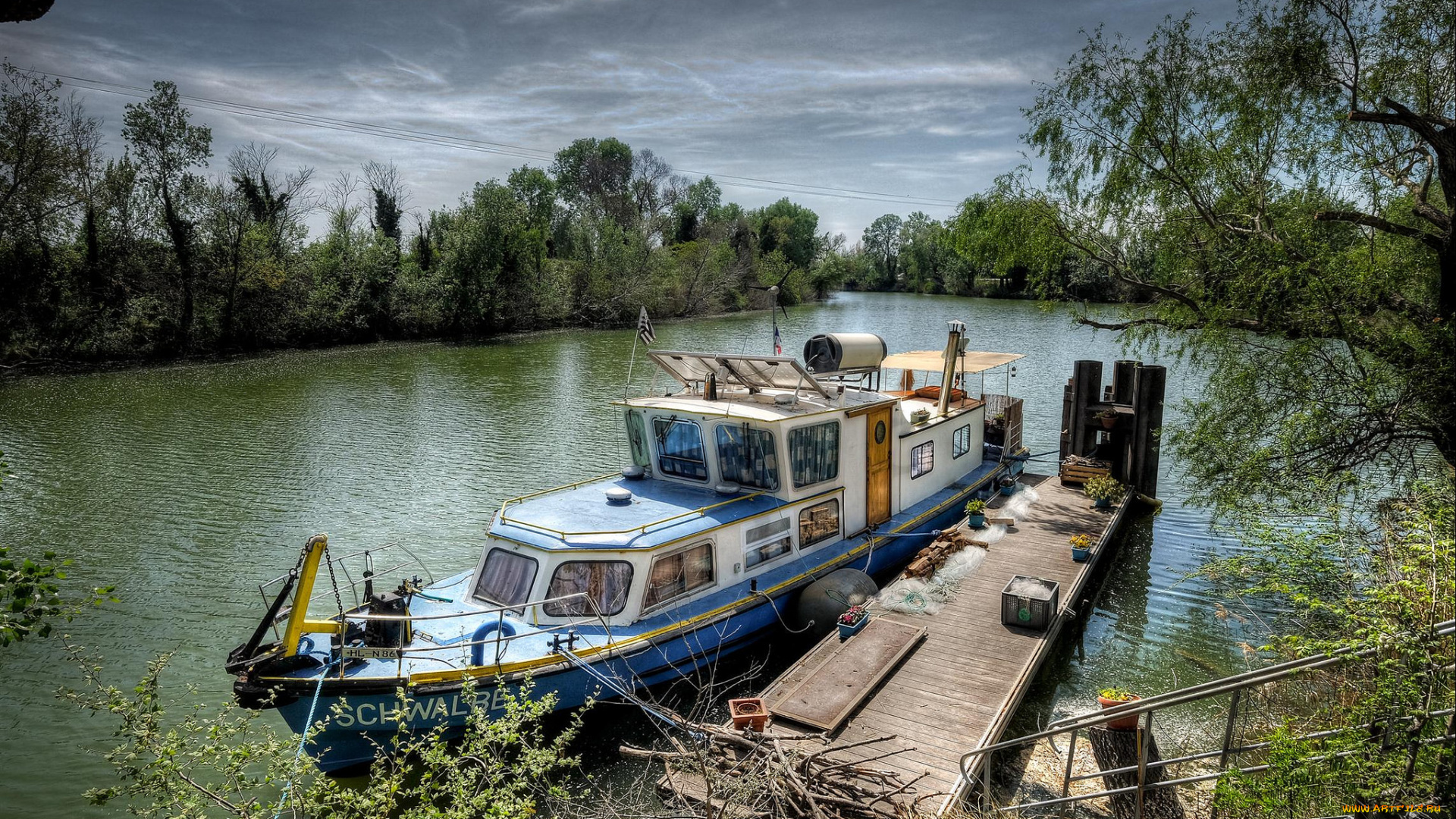 корабли, катера, лес, река, катер