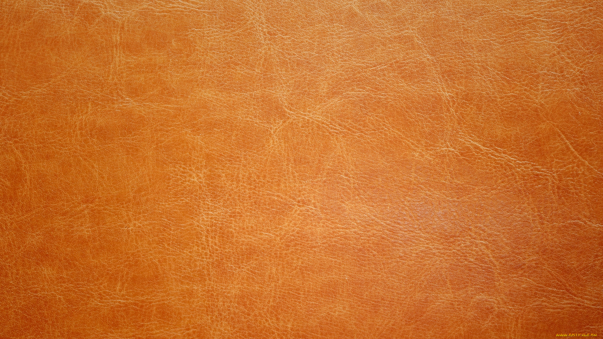 разное, текстуры, кожа, texture, skin, leather