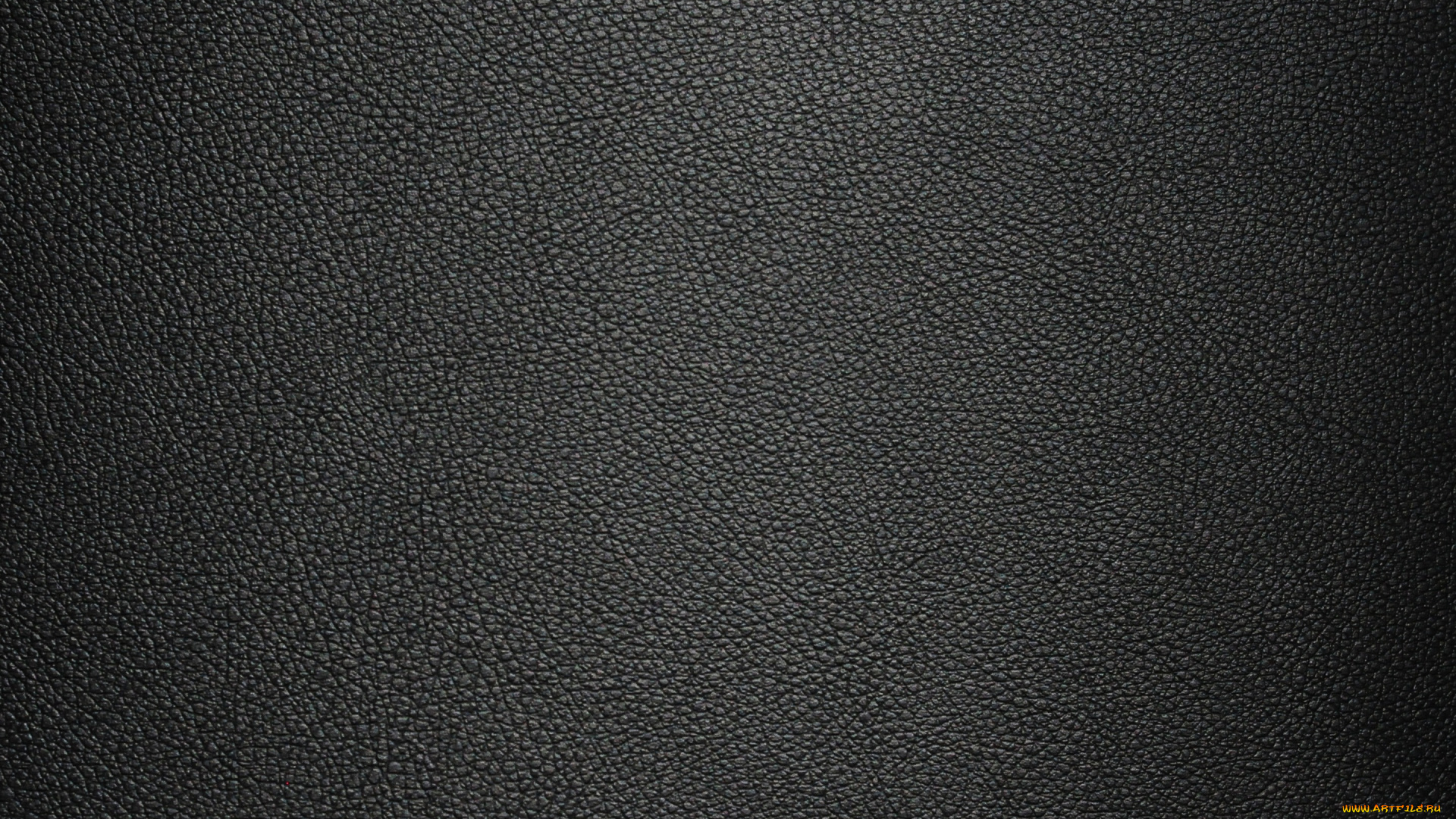 разное, текстуры, кожа, texture, skin, leather