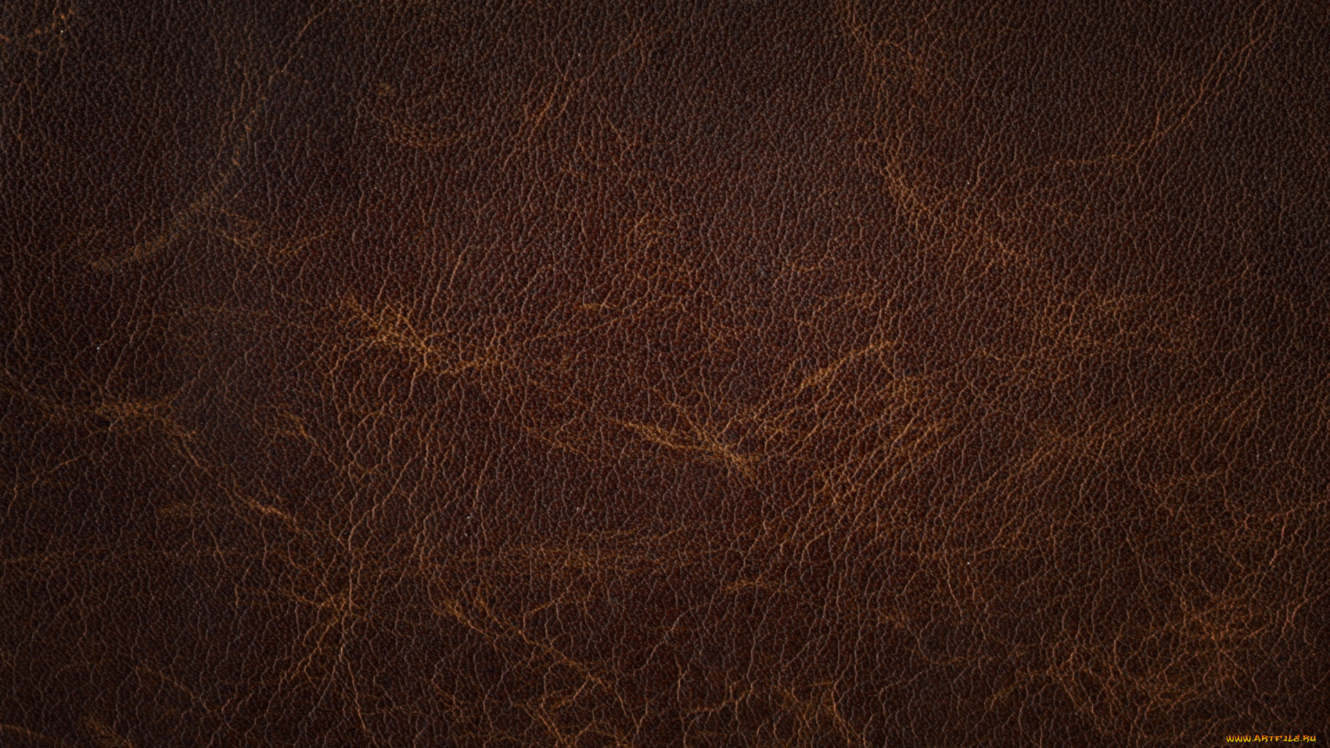 разное, текстуры, кожа, texture, skin, leather