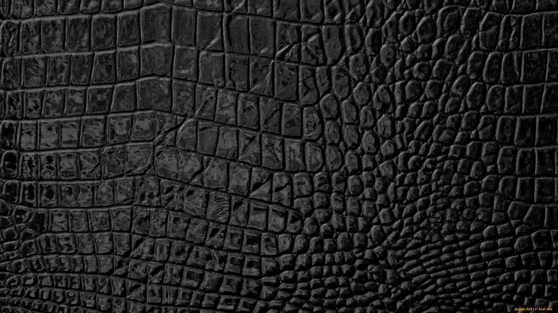 разное, текстуры, skin, leather, кожа, texture