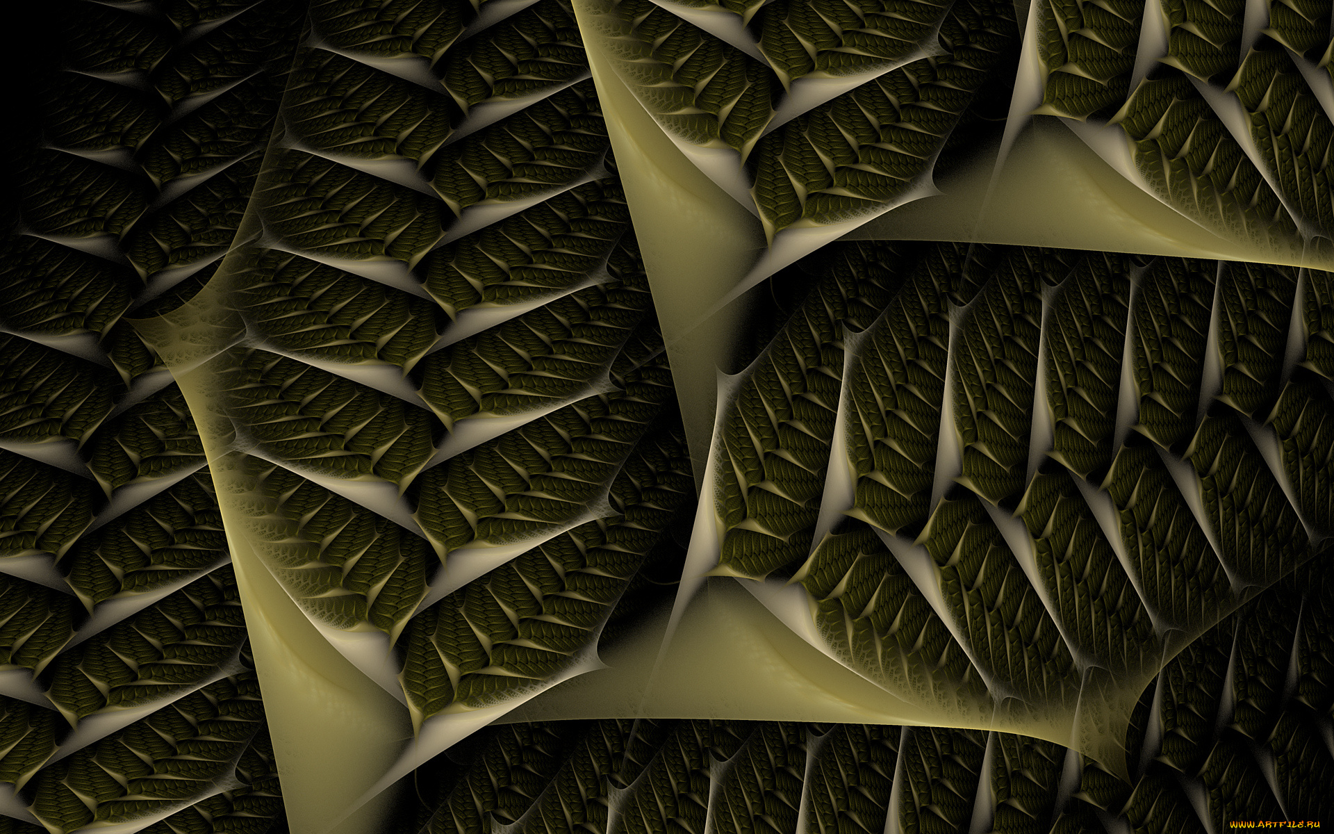 3д, графика, фракталы, , fractal, узор, фон, цвета