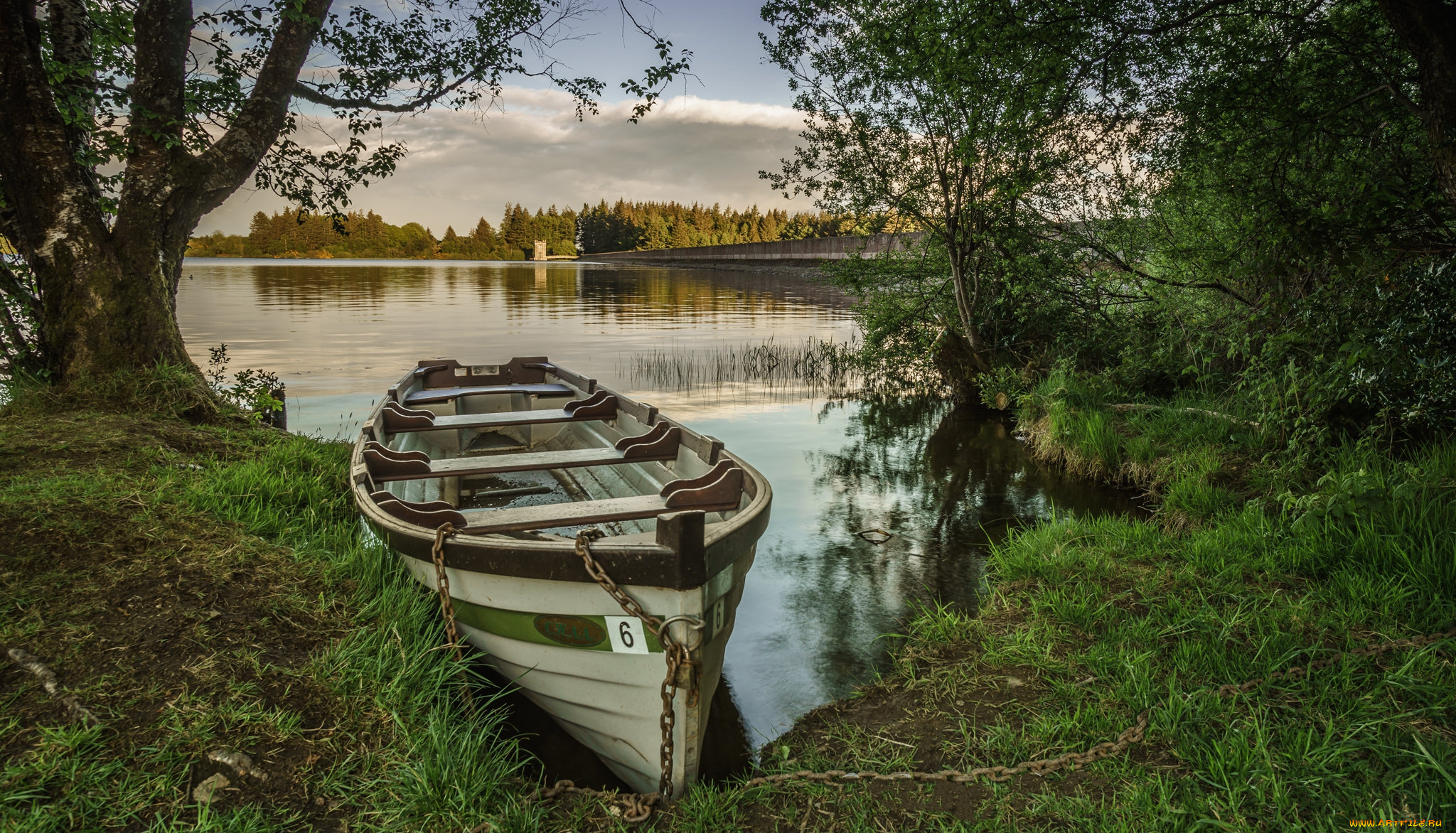 корабли, лодки, , шлюпки, лес, река, лодка