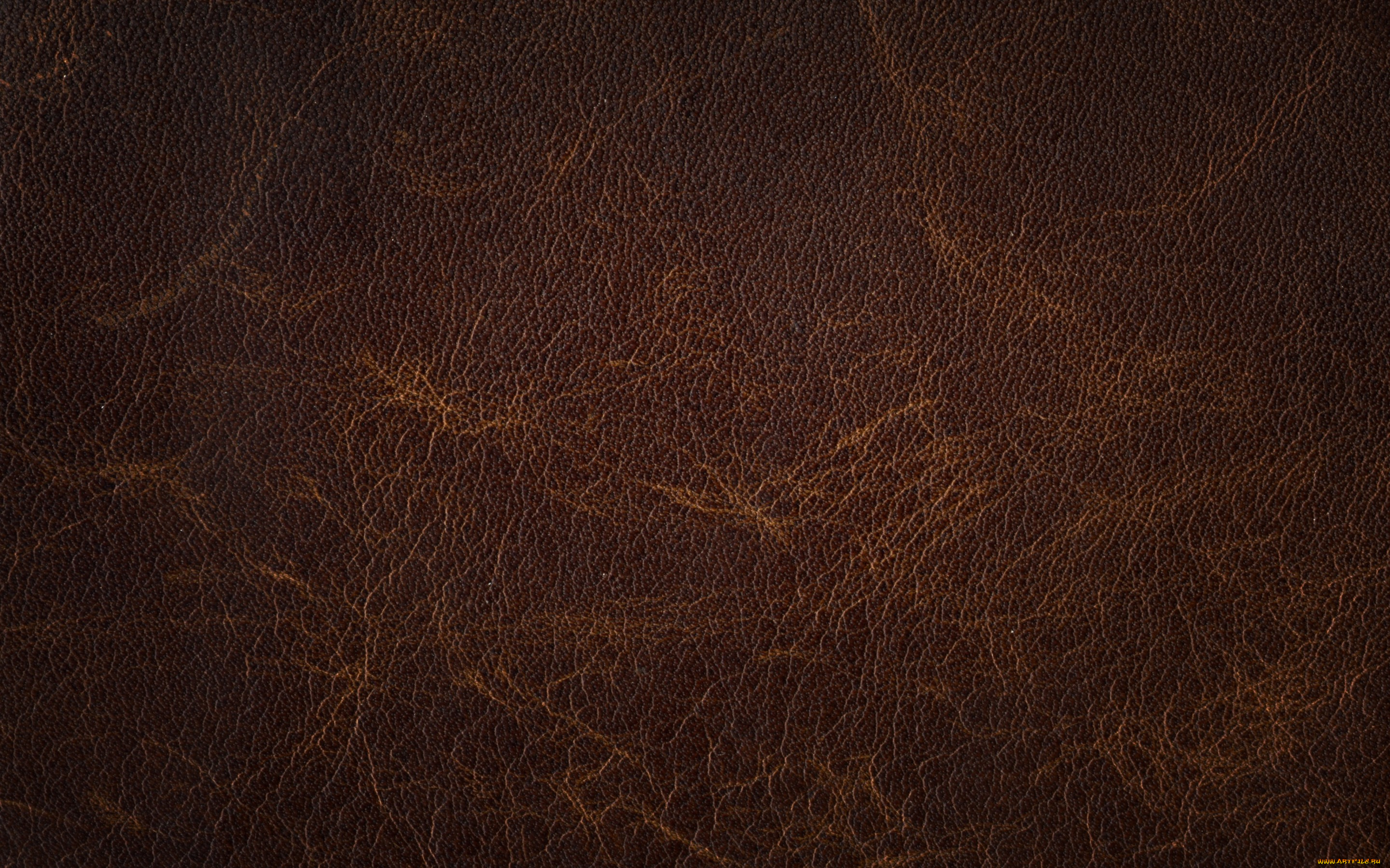 разное, текстуры, кожа, texture, skin, leather