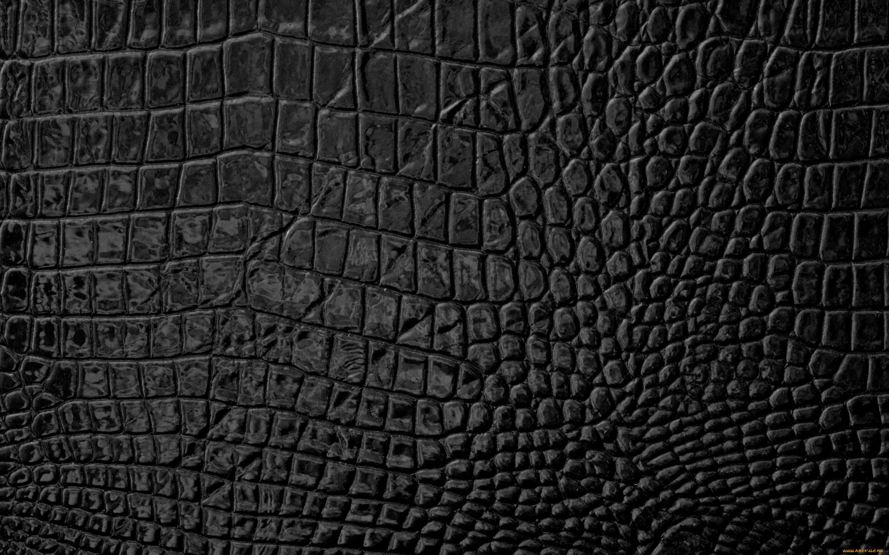 разное, текстуры, skin, leather, кожа, texture