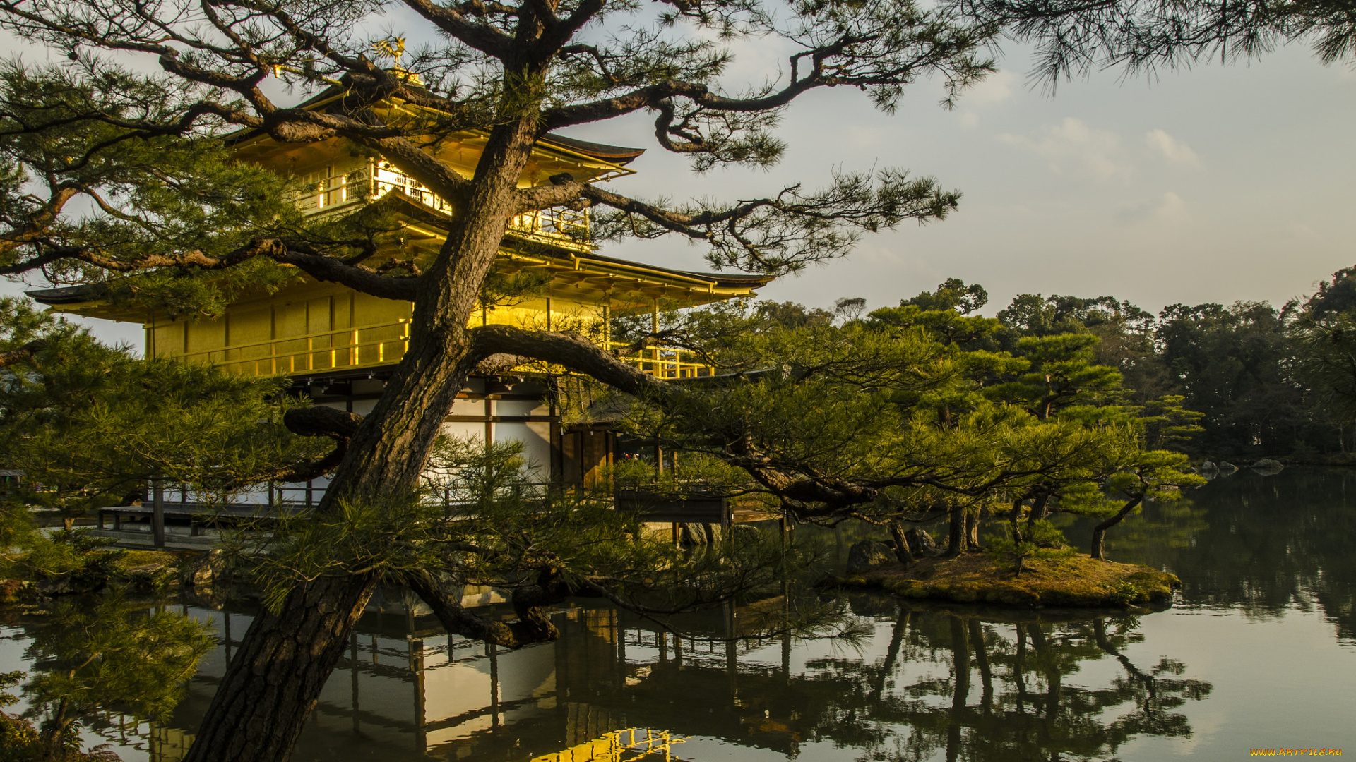 kinkaku-ji, |, kyoto, города, киото, , Япония, храм