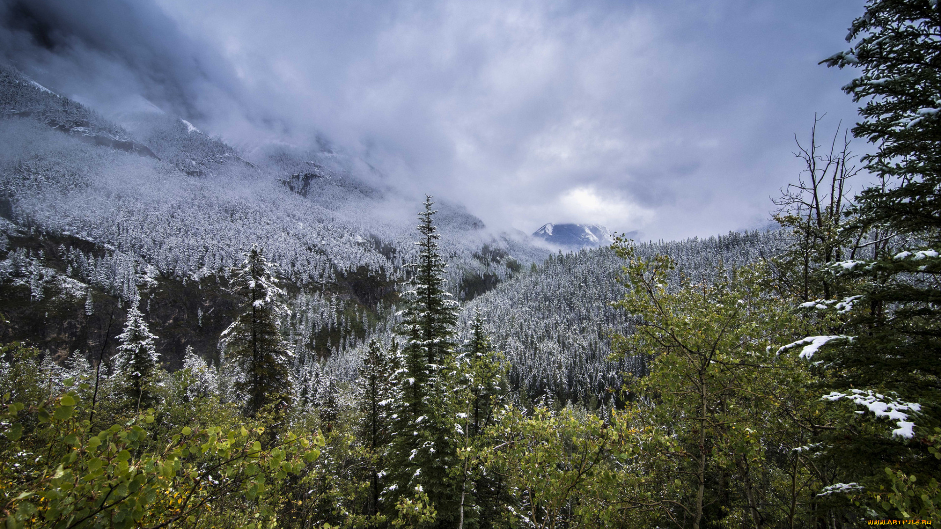 природа, горы, скалы